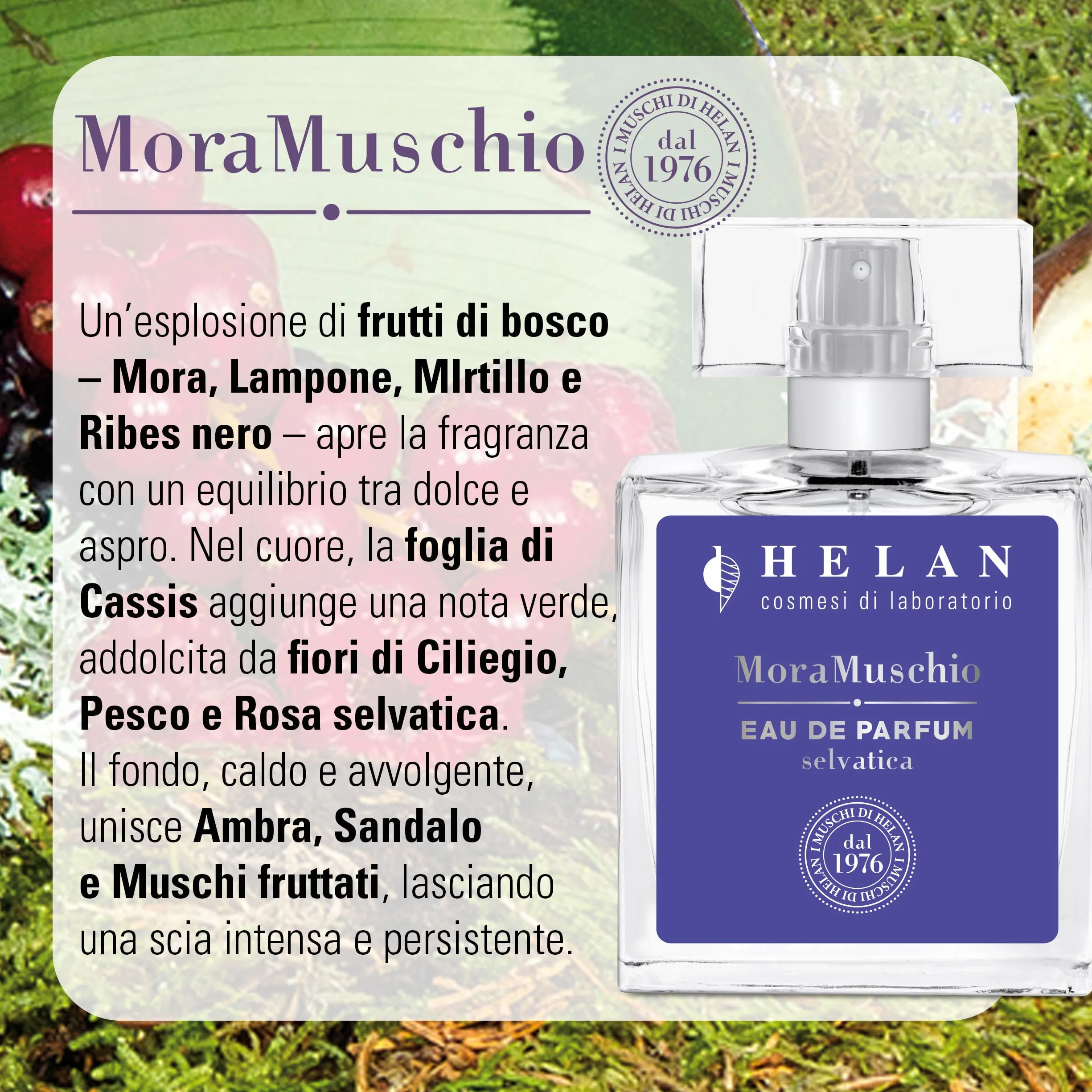 Helan Mora Muschio - Profumo Donna Eau de Parfum Selvatica, Fragranza Fruttata, Floreale e Muschiata con Mora, Lampone, Mirtillo, Rosa Selvatica e Legno di Sandalo - 50 ml, Made in Italy