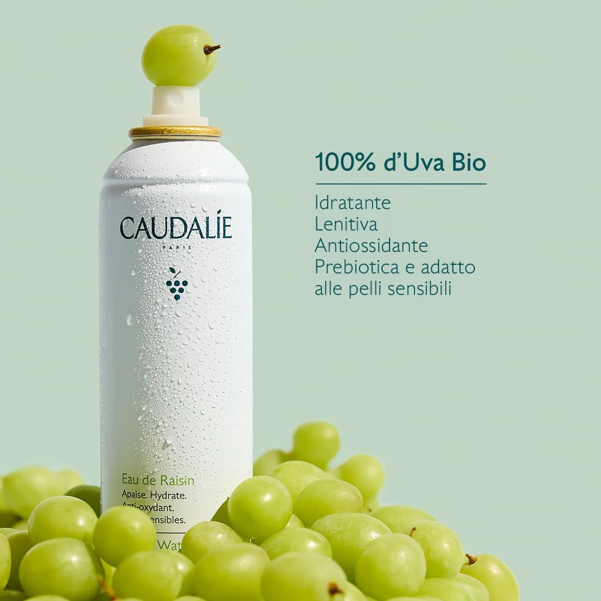 Caudalie Acqua d'Uva – Bruma Lenitiva e Idratante, 100% Uva Bio, Prebiotica e Antiossidante, Pelli Sensibili, Testata Dermatologicamente, Vegano, 300 mL