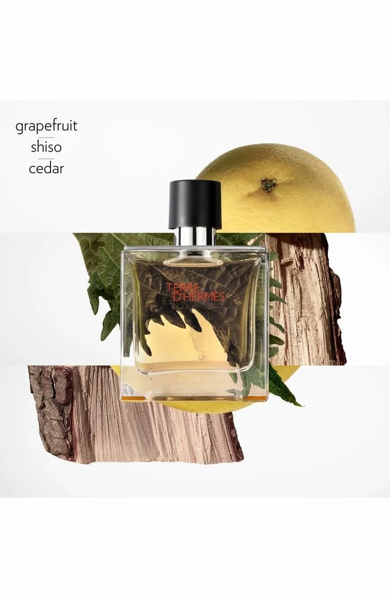 Terre D'Hermes Eau de Parfum 75 Ml