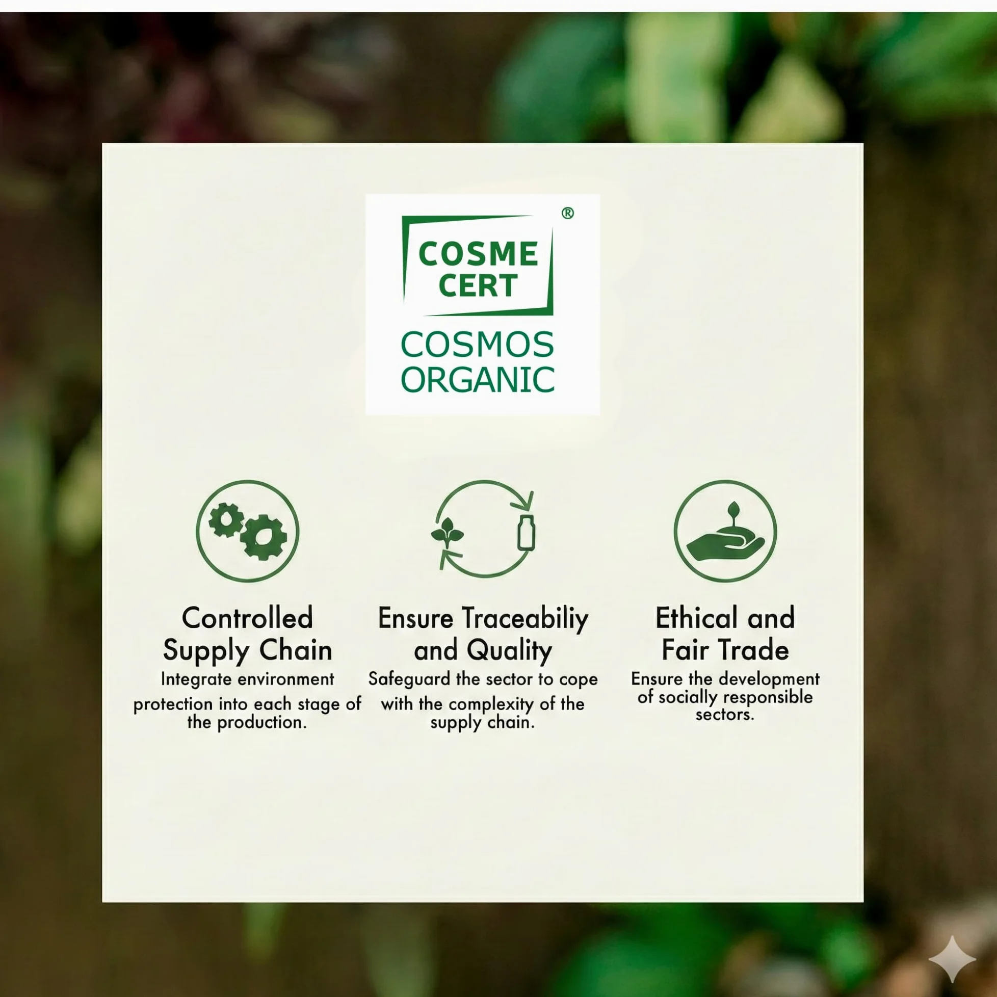 Cofanetto Regalo Biologico con Saponi e Shampoo Solido, Fatto a Mano in Francia, Cosmesi Artigianale Processo a Freddo, Certificato COSMOS & Nature et Progrès, Collezione 4 Pezzi