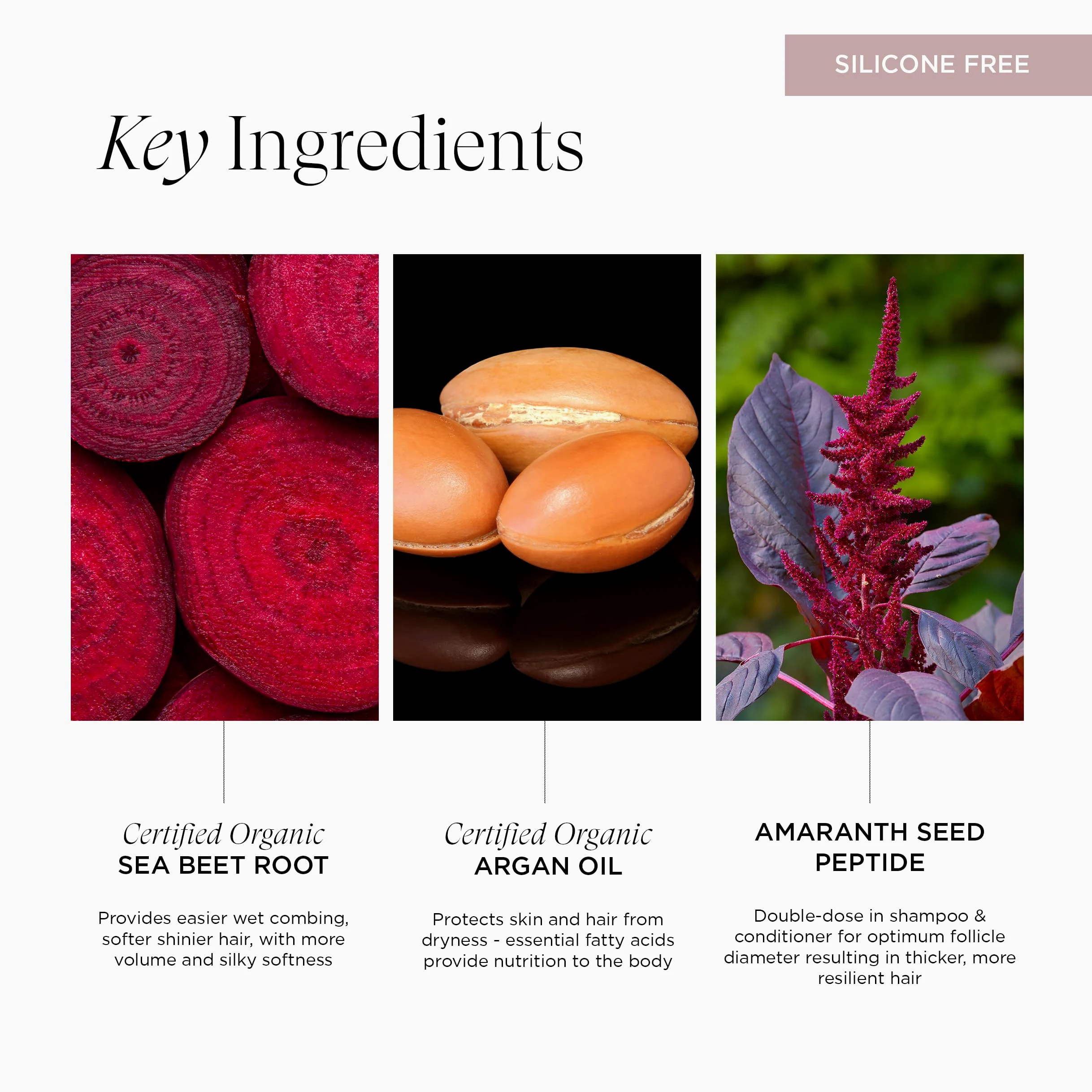 Intelligent Nutrients Amplifi-hair, balsamo volumizzante idratante leggera e districante per capelli fini, formula condizionante vegana, 8 oz