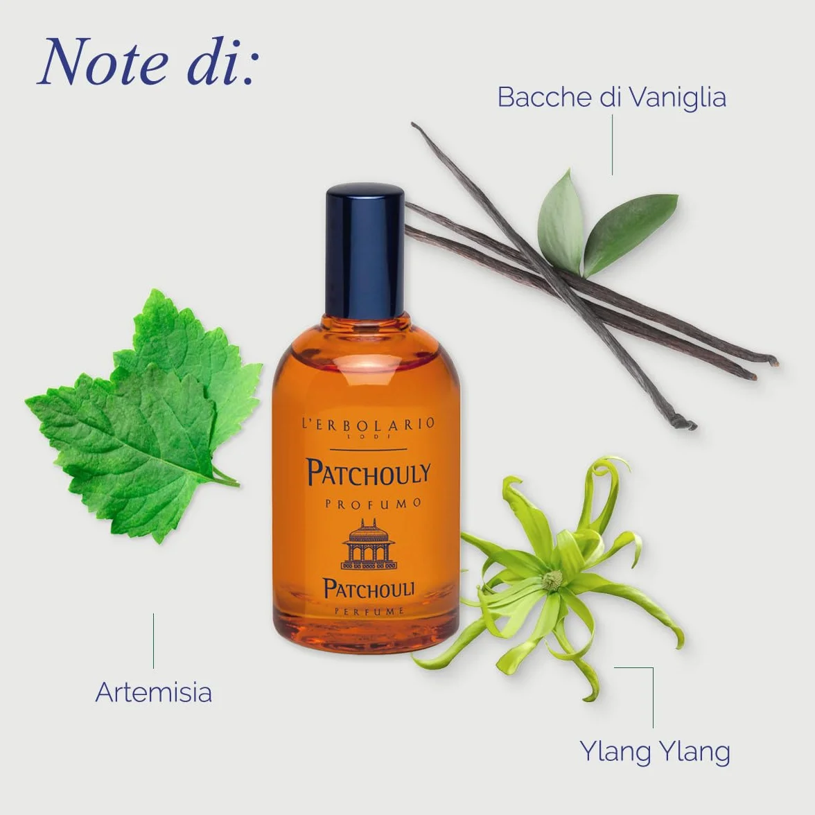 L'Erbolario Patchouly Profumo Unisex - Eau de Parfum - Adatto come Profumo Uomo & Profumo Donna - Fragranza Legnosa e Vanigliata - 50ml
