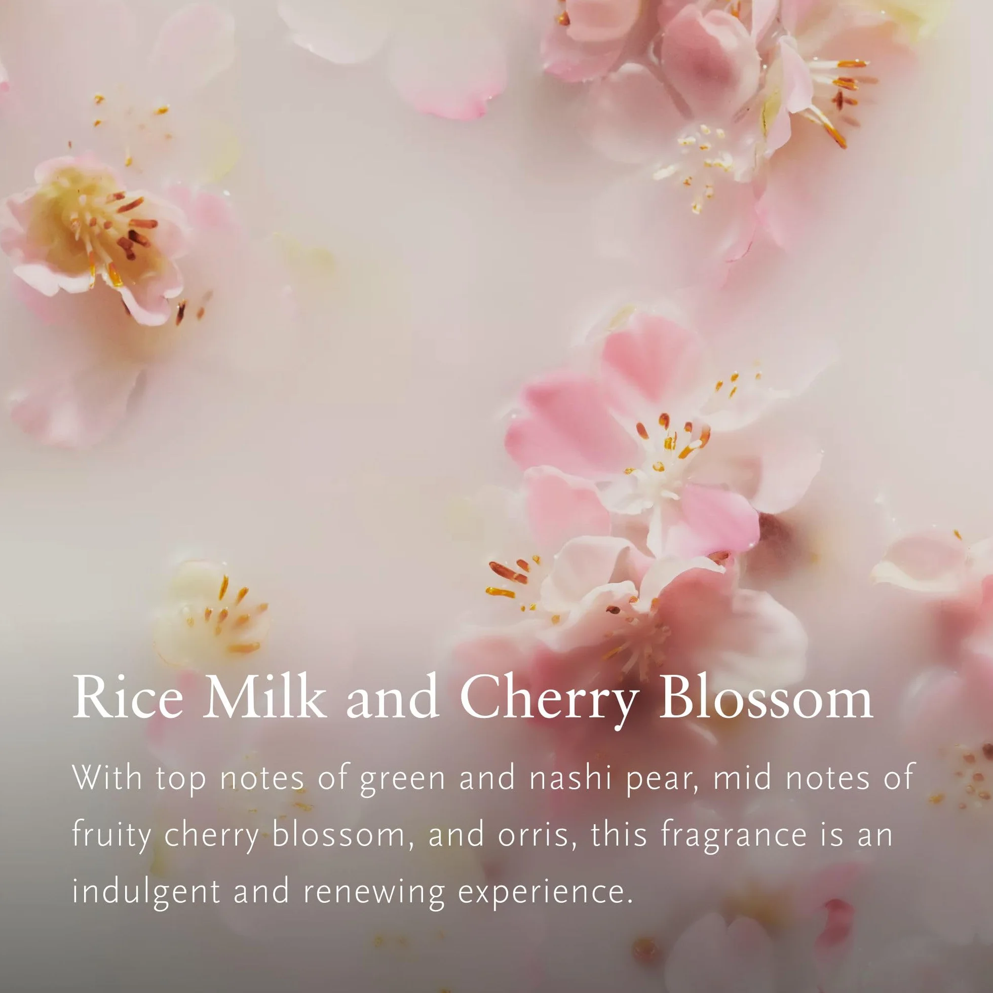 RITUALS Cofanetto regalo donna The Ritual of Sakura, Small – Set regalo donna con prodotti per la cura del corpo, Set bagno nutriente arricchito con latte di riso e fiore di ciliegio