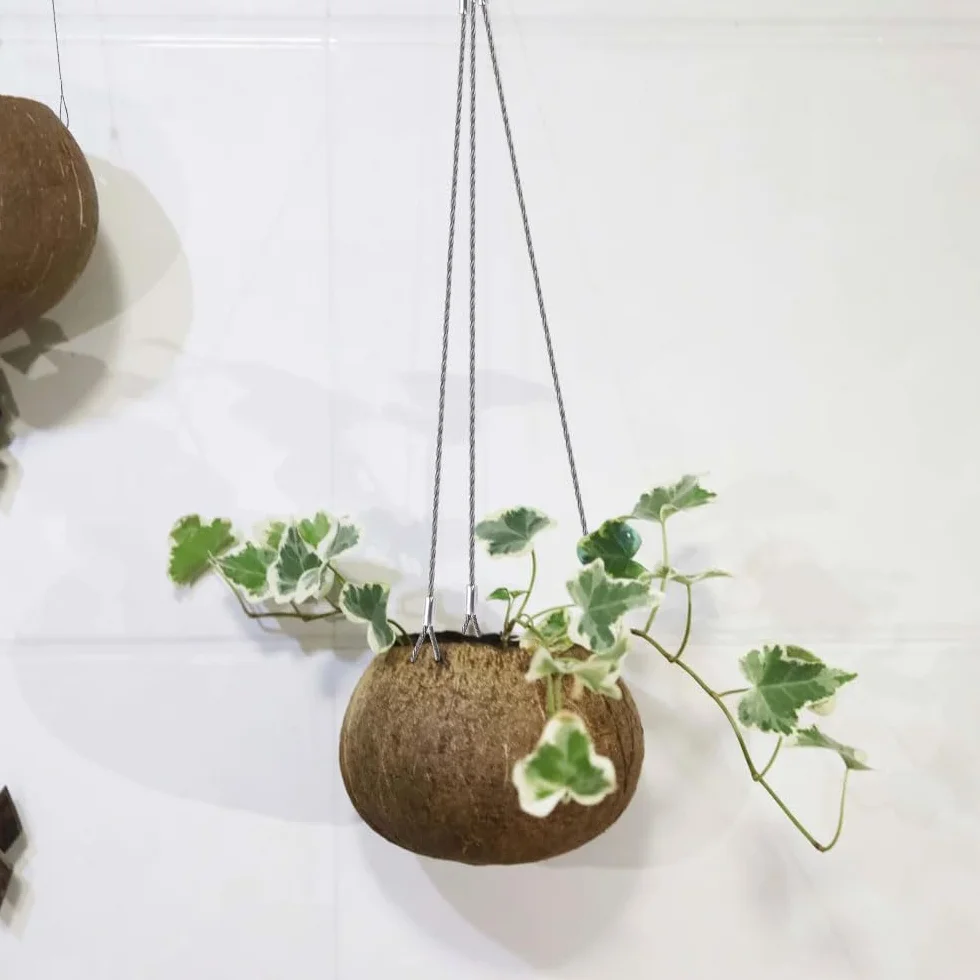 Cavo in Acciaio Inossidabile di Sicurezza 50cm x 2mm Toroidal con Moschettone 10 Pezzi per Biciclette, Bagagli