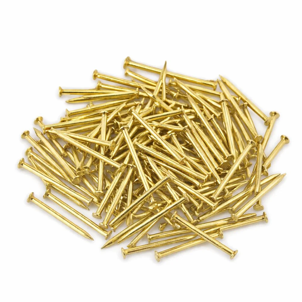 Chiodi per Legno 20 mm 75 Pezzi Testa Piatta per Modellismo e Cornici