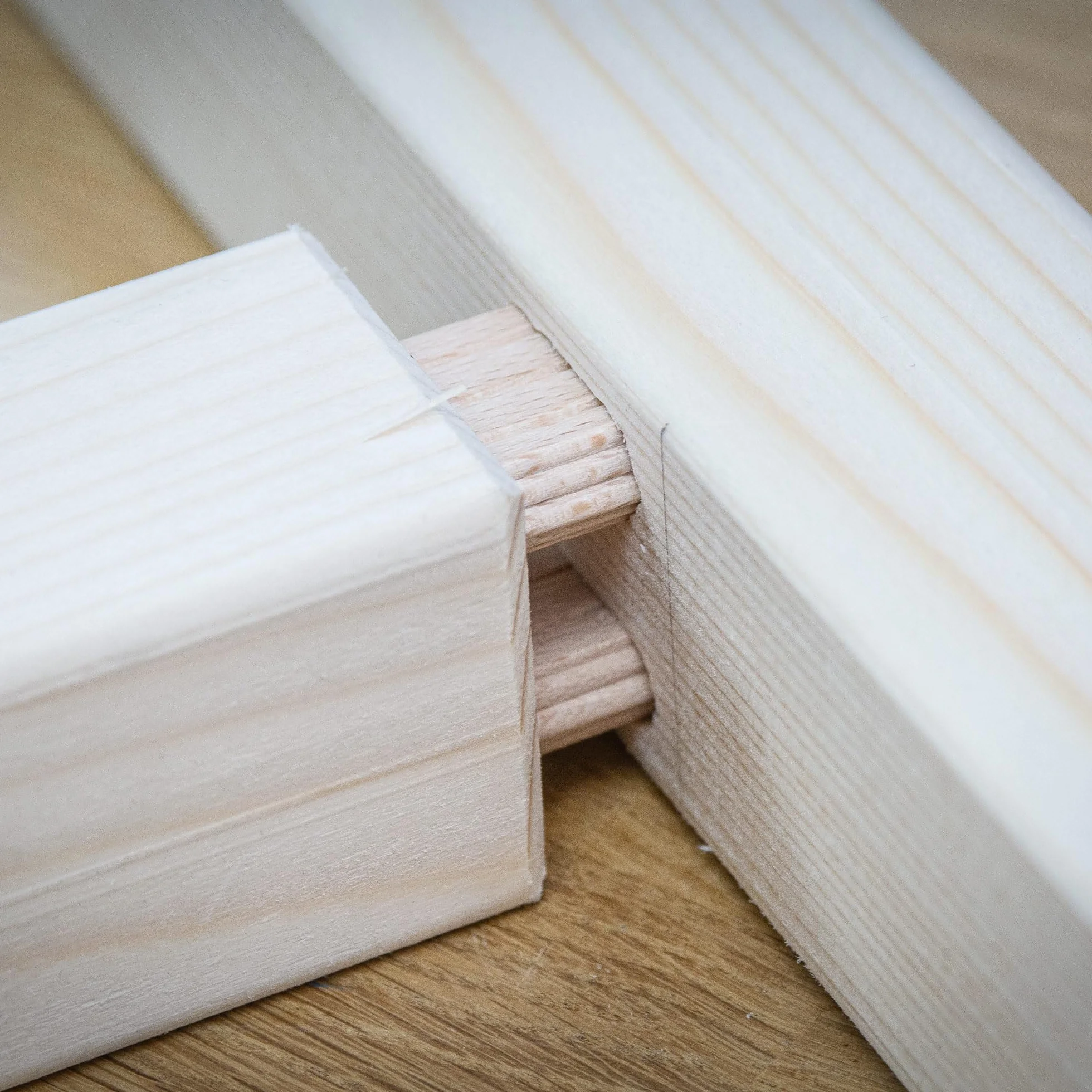Tenoni di Faggio Trend 50 8x50mm per Falegnameria Giunzioni Cornici Mobili TEN/8X50/50