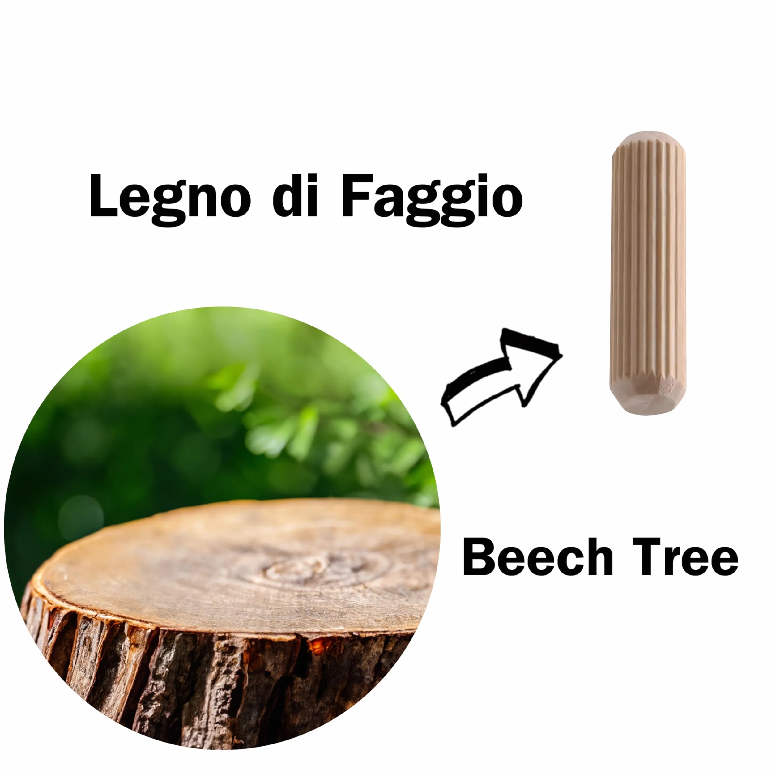 Perni di Giunzione in Legno di Faggio 24 Spine 16 x 140 mm Scanalate per Carpenteria e Strutture in Legno Massello