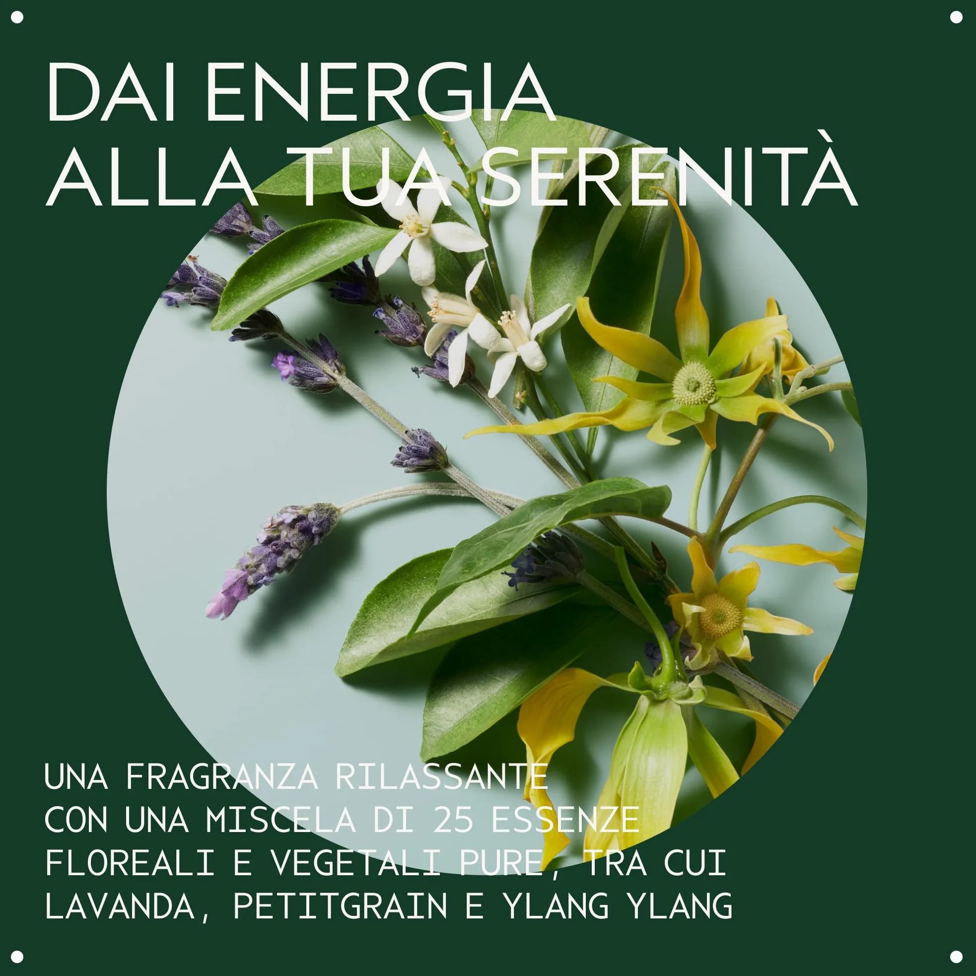 Aveda Shampure Routine: Shampoo nutriente per capelli da sottili a med (250ml) + Balsamo nutriente per capelli sottili e medi (250ml) - Aroma calmante di lavanda e ylang ylang