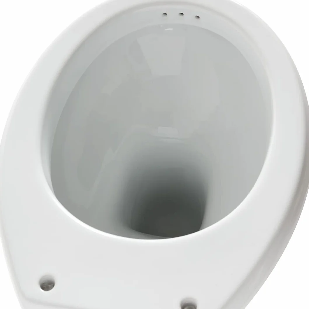 Vaso WC con Bidet Incorporato Ceramica Sanitari CLASSIC Scarico a Terra Made In Italy