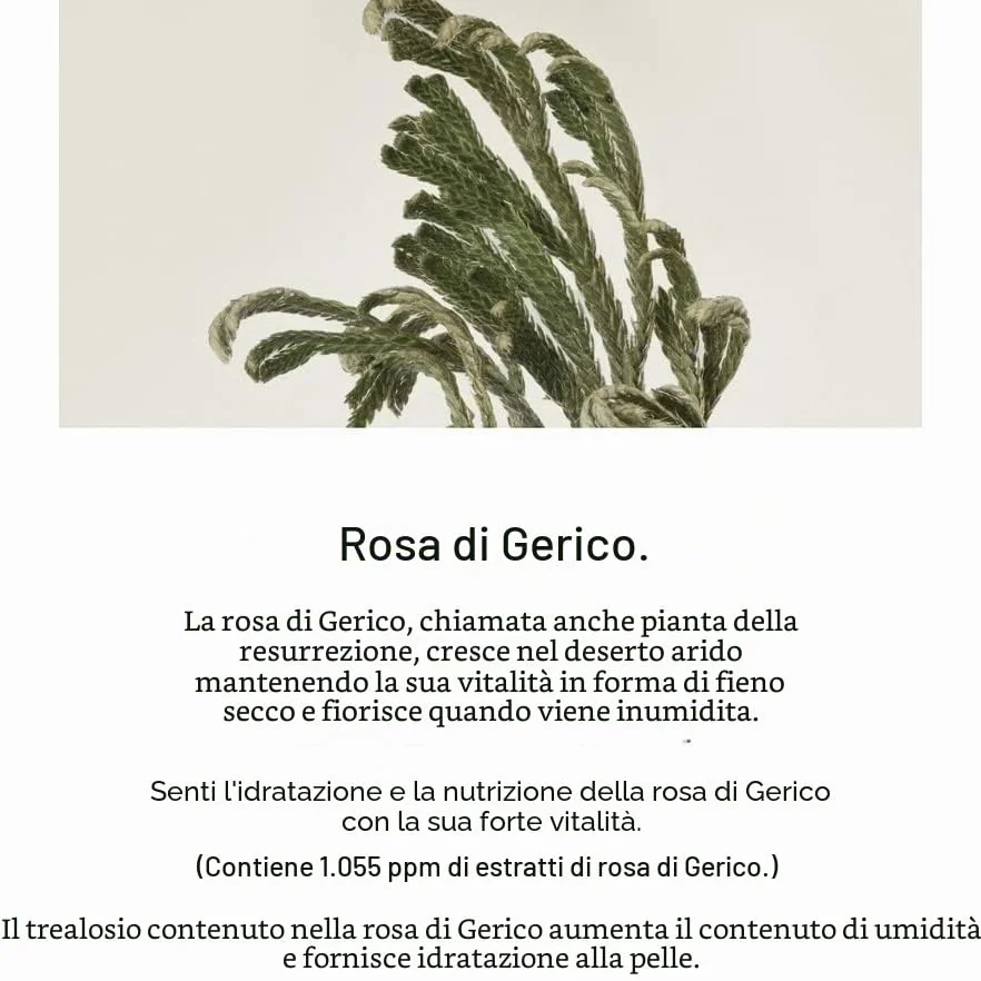 Abib - Benda per occhi al collagene Jericho Rose Jelly 60P