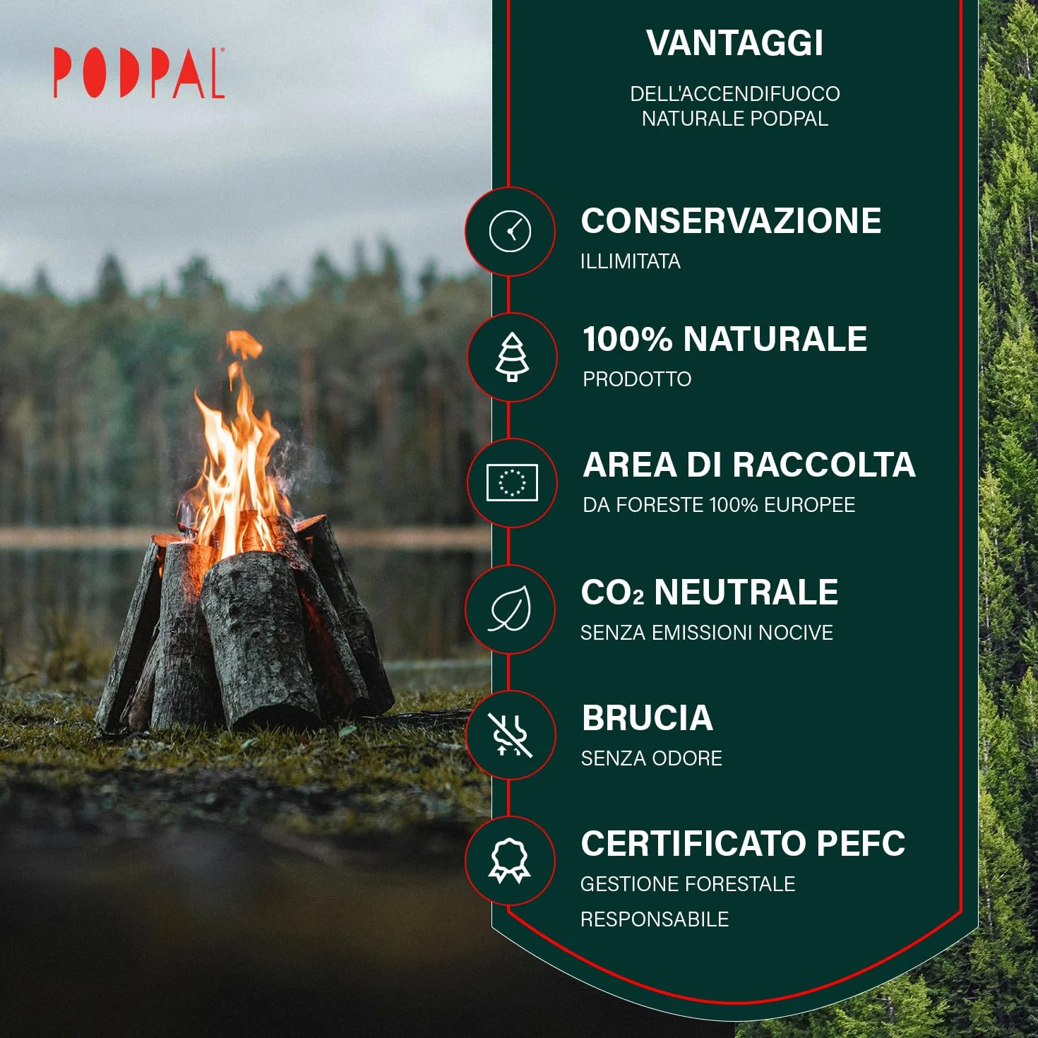 Legnetti Accendifuoco Ecologici 2kg 200 Pezzi Lana di Legno e Cera per Camino Stufa Barbecue