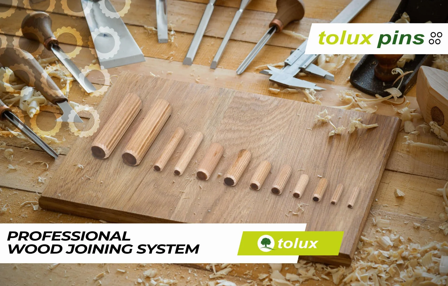 Tolux Tasselli di legno 10x50 mm Confezione da 50 pezzi Spine in legno zigrinate DIN 68150