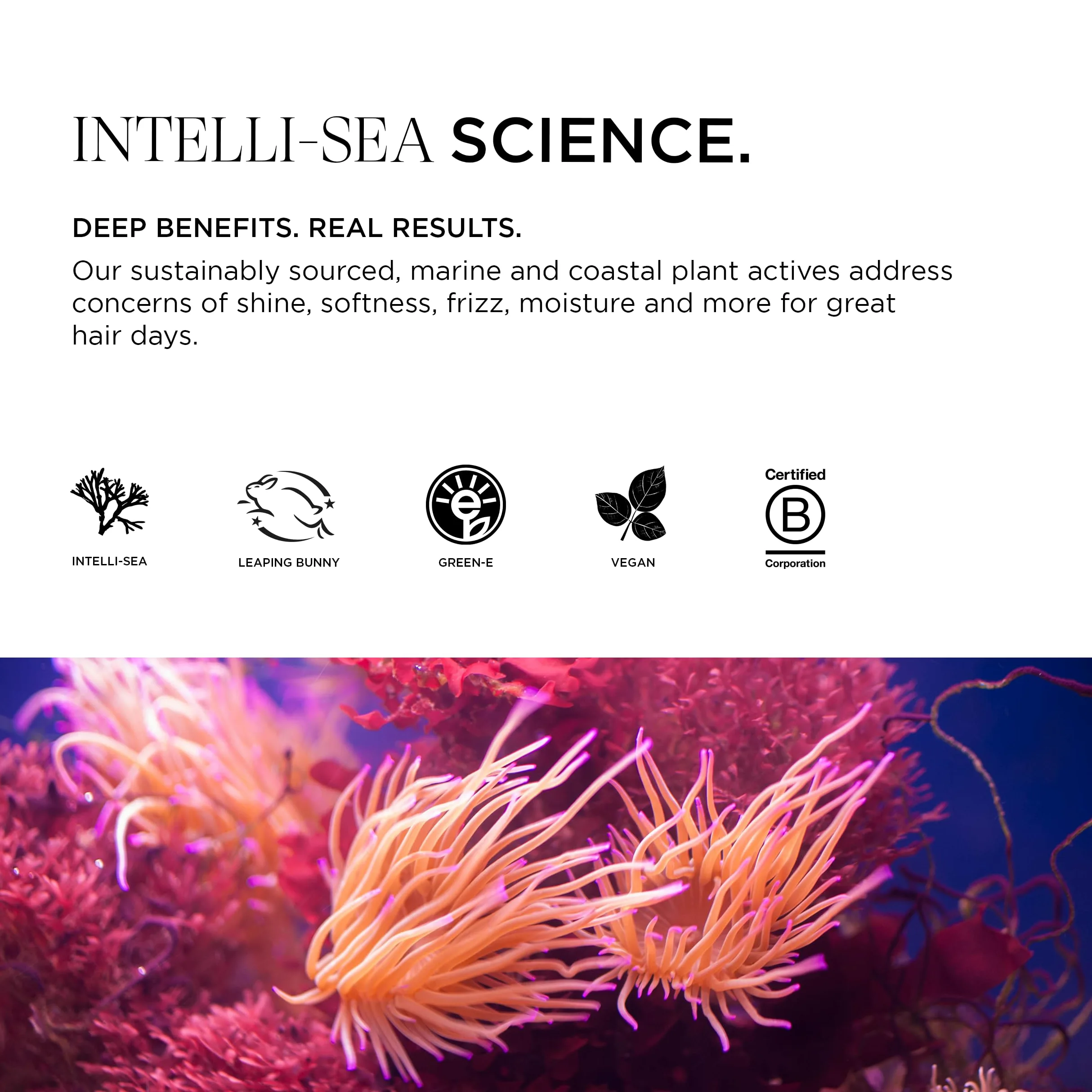 Intelligent Nutrients Amplifi-hair, balsamo volumizzante idratante leggera e districante per capelli fini, formula condizionante vegana, 8 oz