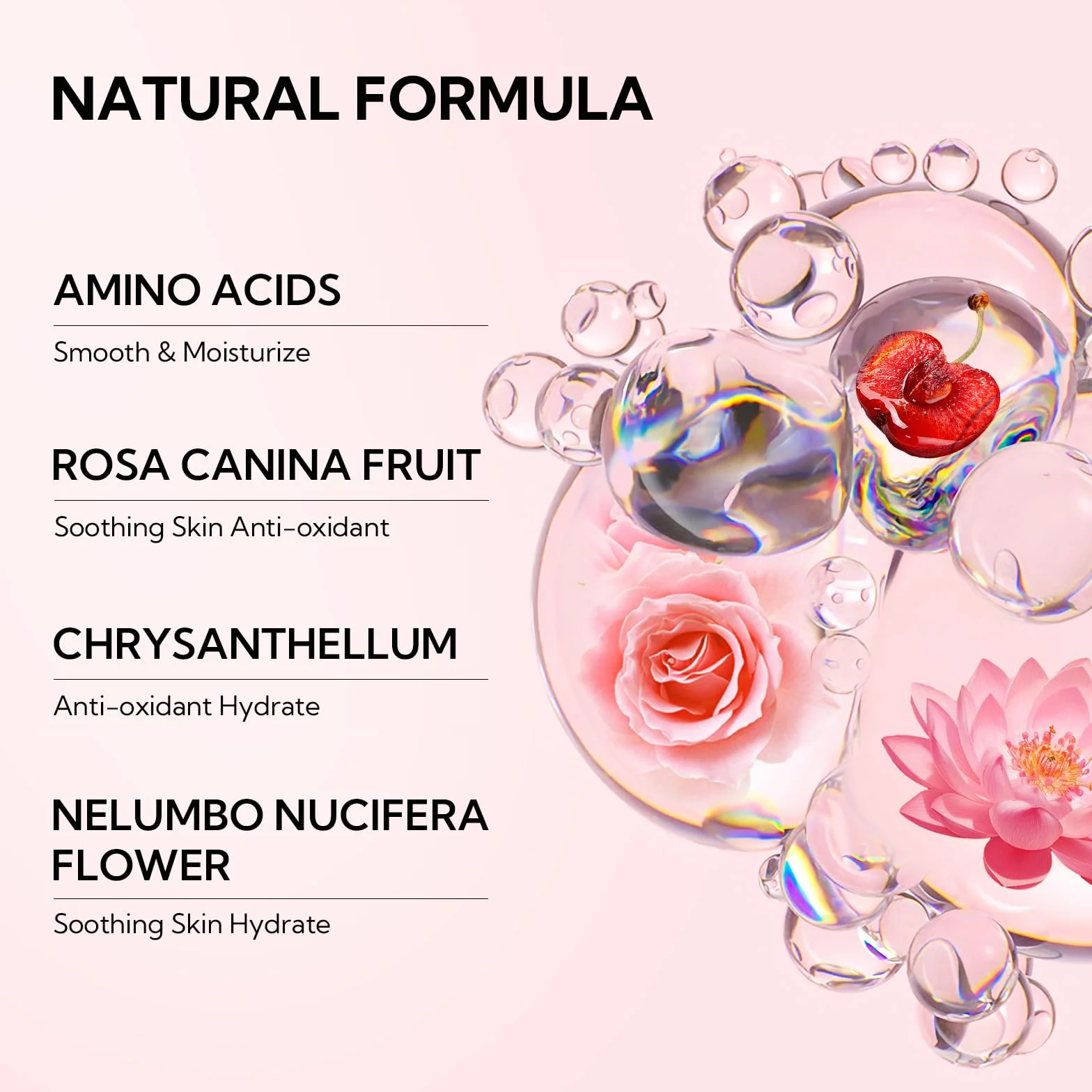 Shampoo Estensione Ciglia 60 ml + Bottiglia Risciacquo + Pennello + Mascara Parete Palpebra BREYLEE Lash, Senza Paraben e Solfati, Schiuma Detergente Trucco