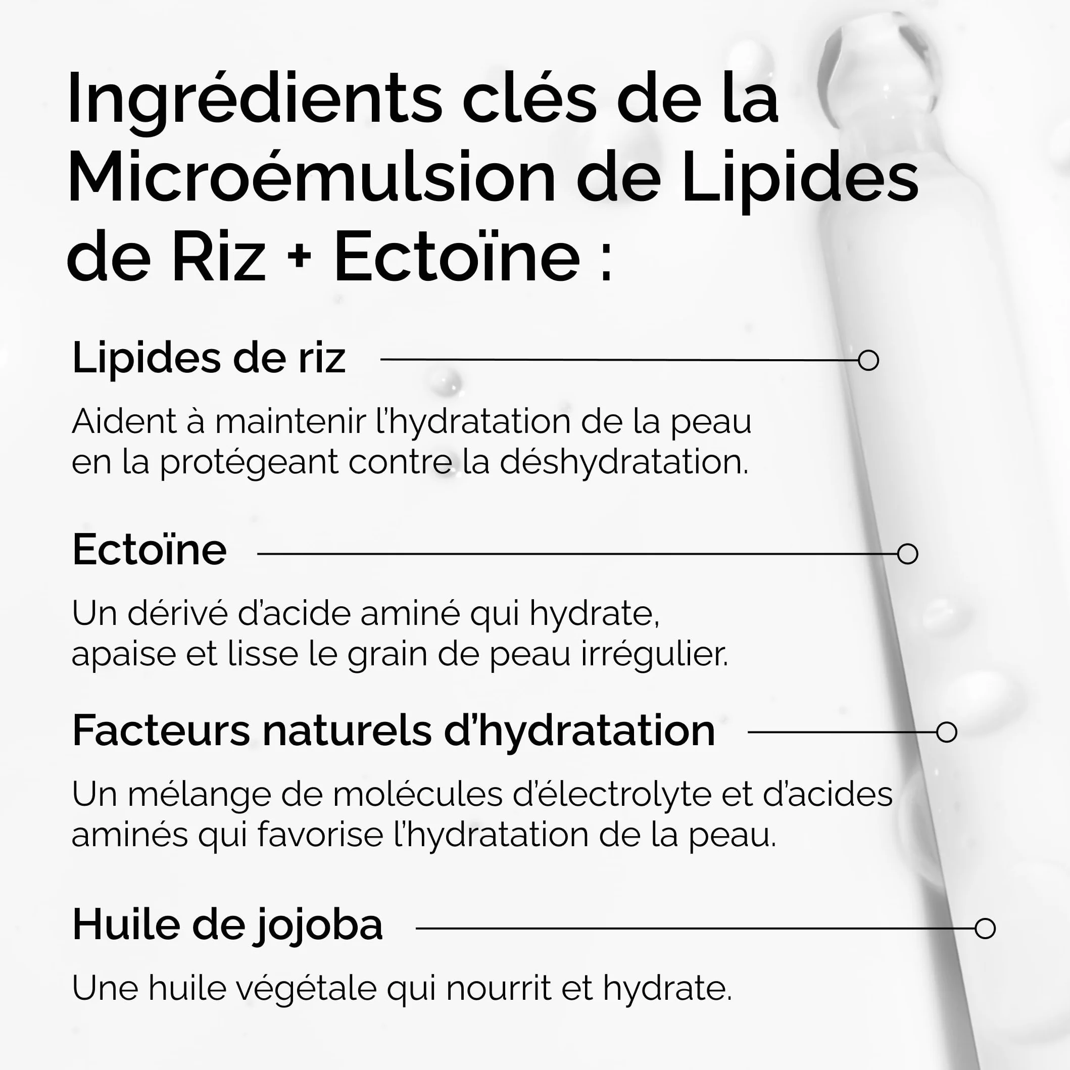 The Ordinary Rice Lipids + Ectoin Microemulsion: idratazione lenitiva per pelle secca, supporto della barriera cutanea, riduzione dei rossori, 60 ml