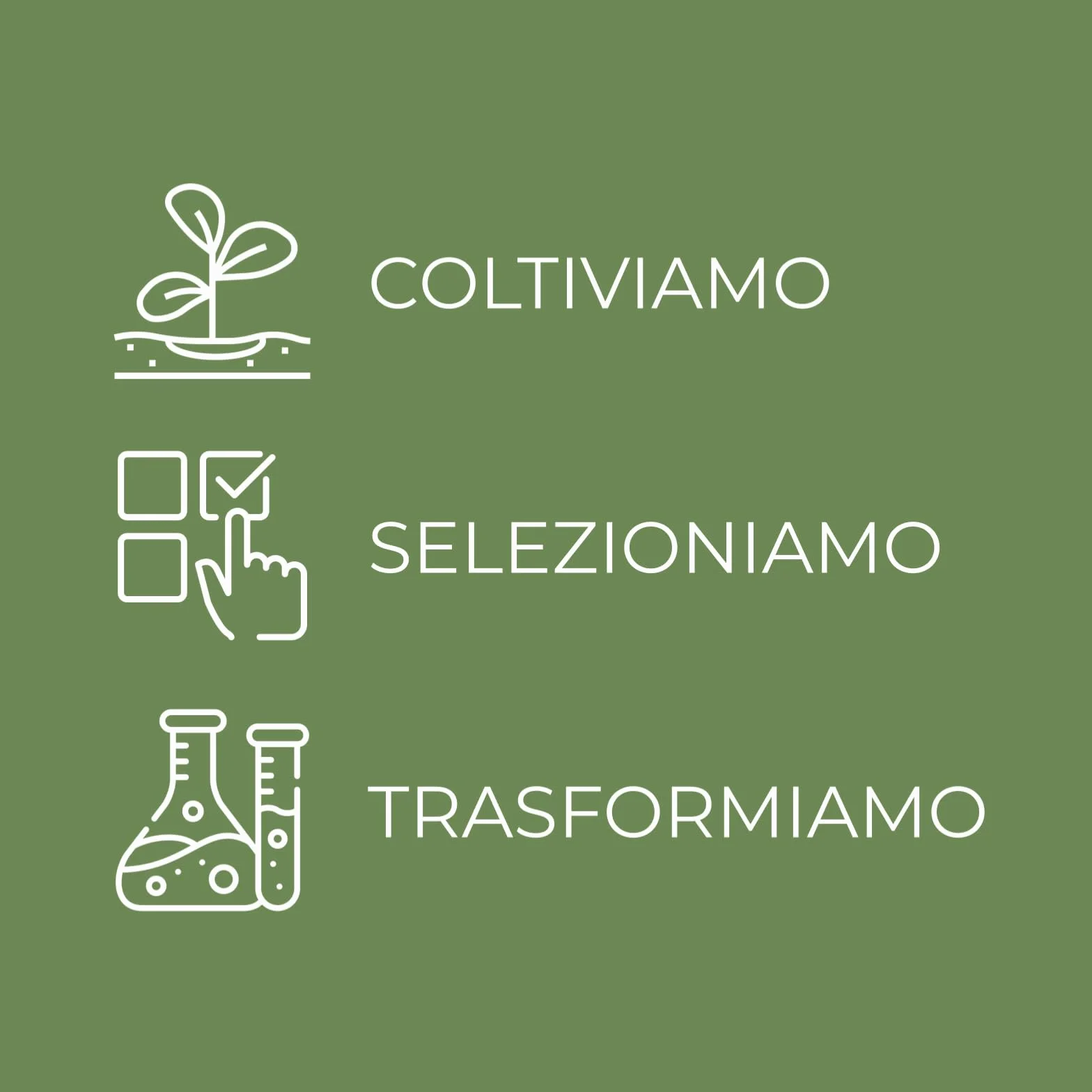 Bottega Verde - Estratti di Bellezza, Olio in Gel Struccante, 75 ml, Strucca e Deterge, con Camelia e Albicocca, per Tutti i Tipi di Pelle