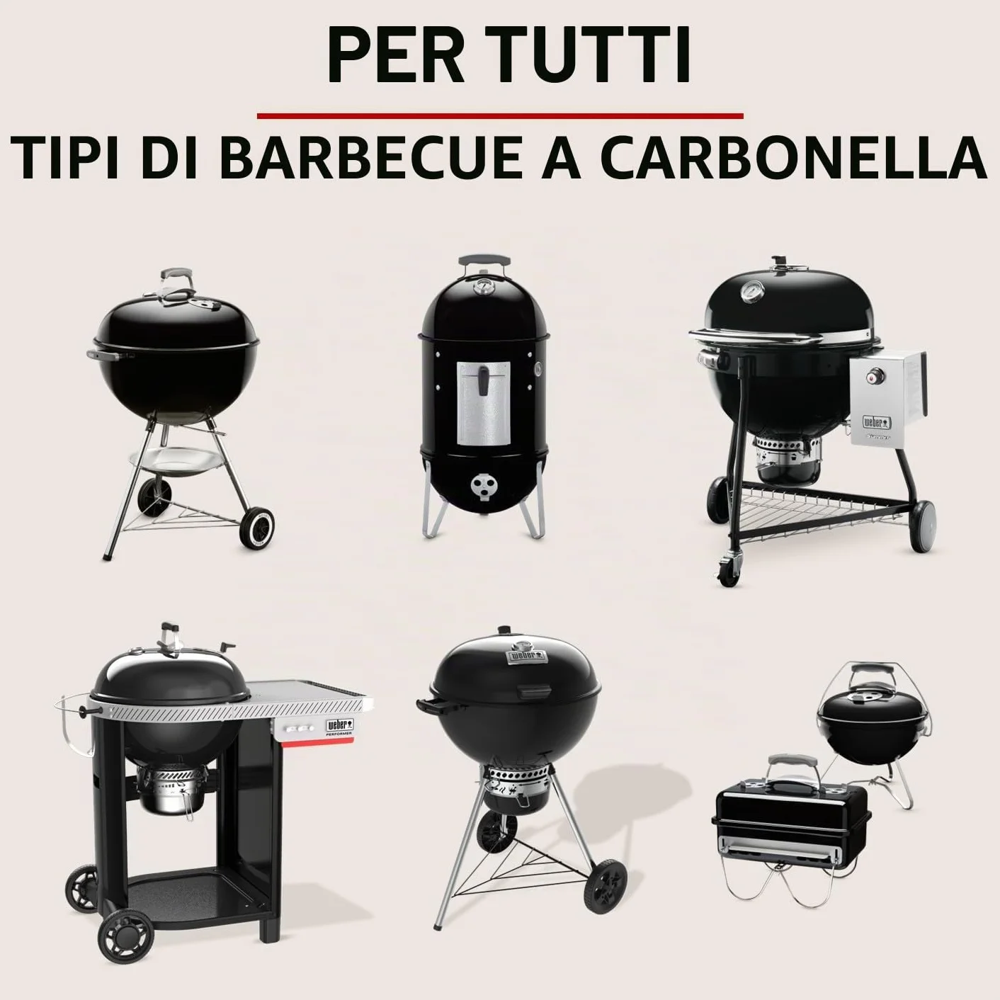 Weber Bricchetti di carbone 4 kg BBQ combustibile naturale accensione 20 minuti 3 ore