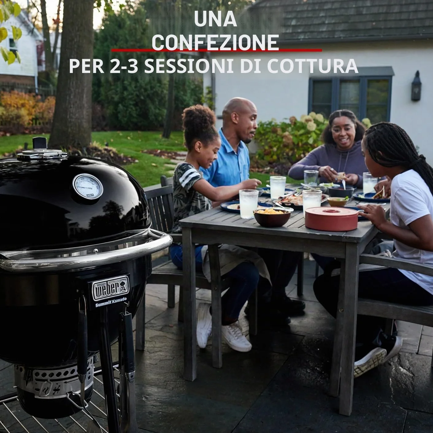 Weber Bricchetti di carbone 4 kg BBQ combustibile naturale accensione 20 minuti 3 ore