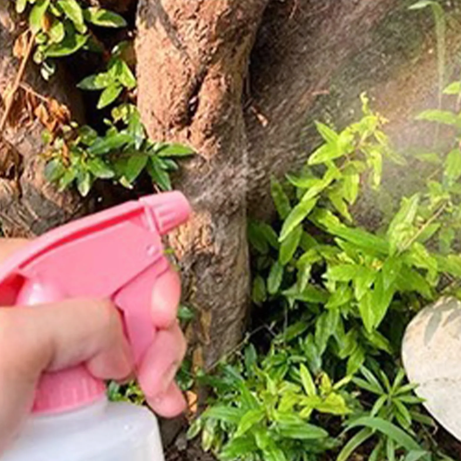 Ugello per botiglia spray - PP, testina di spruzzo regolabile per spruzzatore sostitutivo da 0,98 pollici | Tappo per bottiglia riutilizzabile con cannuccia e filtro, tappo per bottiglia portatile co