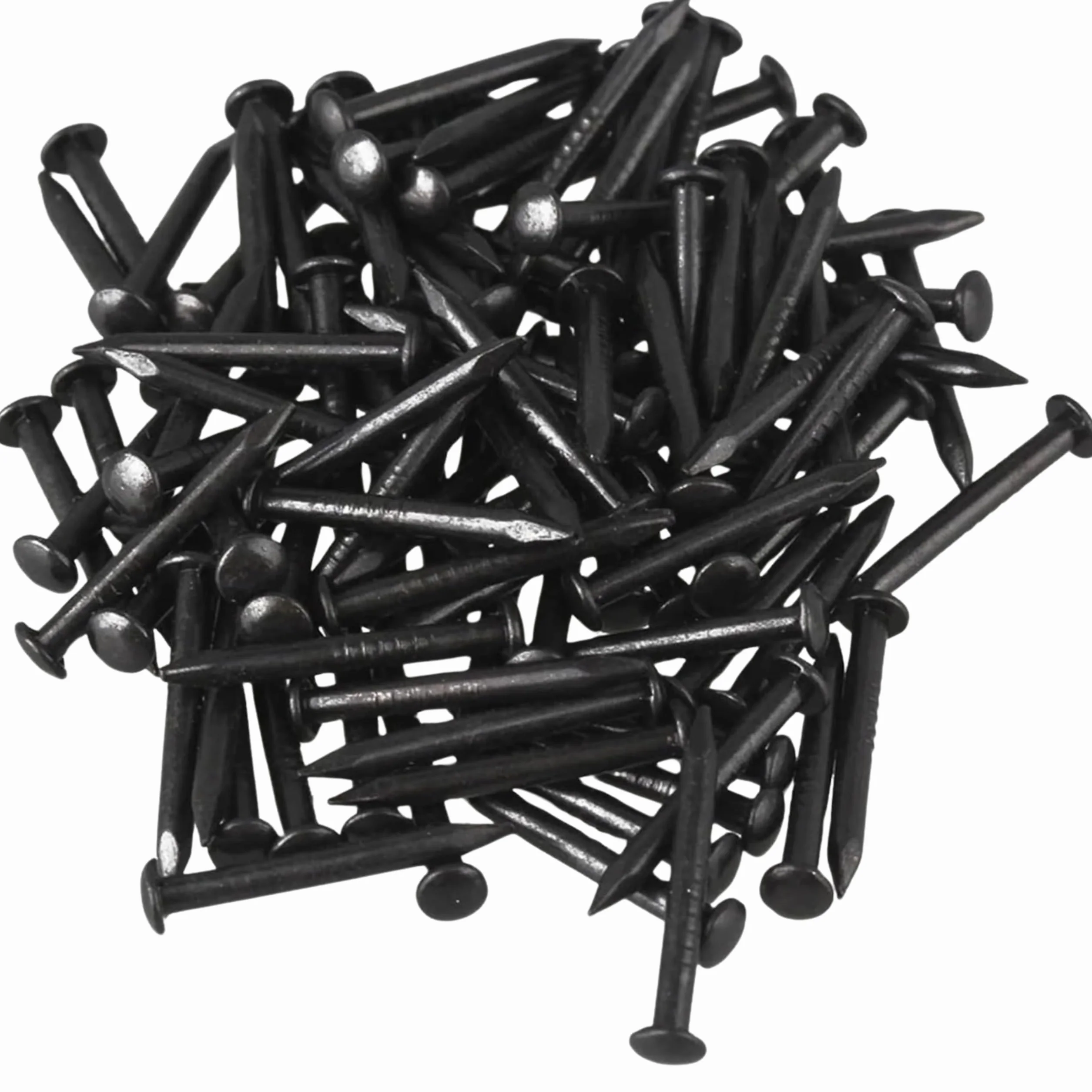 Chiodi a Testa Bombata in Acciaio 2,0 x 30 mm 100 g per Legno Muratura Carpenteria Edilizia