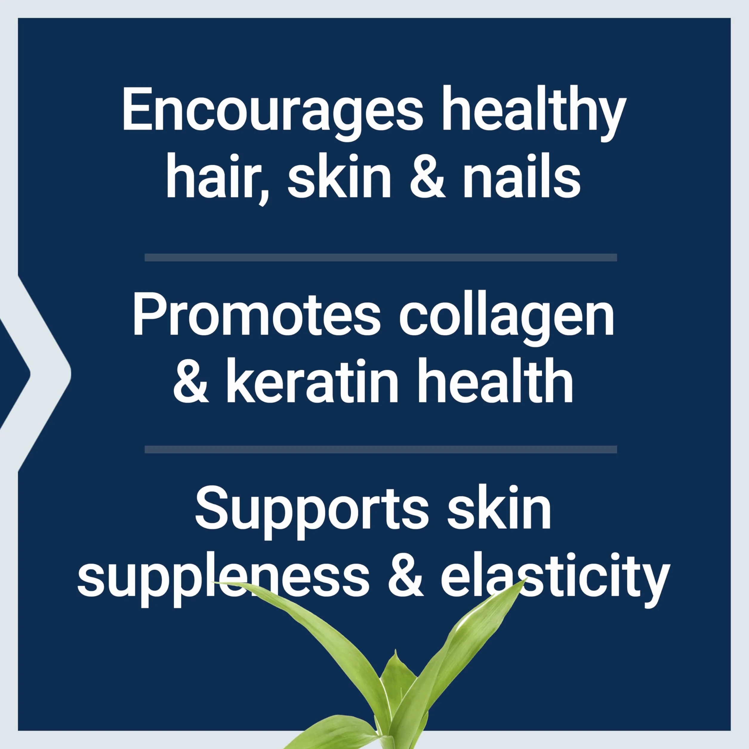 Life Extension Capelli, pelle e unghie Collagen Plus, 120 pezzi