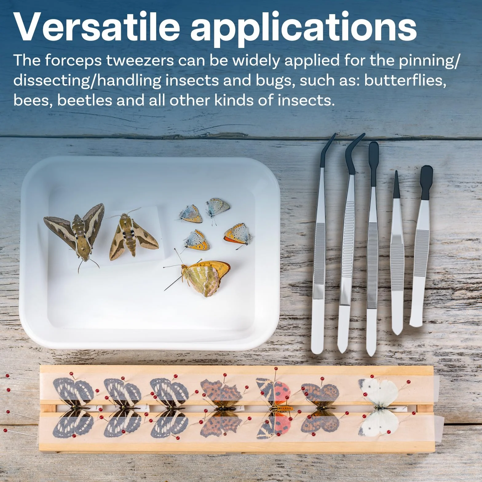 MMOBIEL Set Pinze Entomologia 5 Pezzi Acciaio Inossidabile Pinzette Punta in Gomma