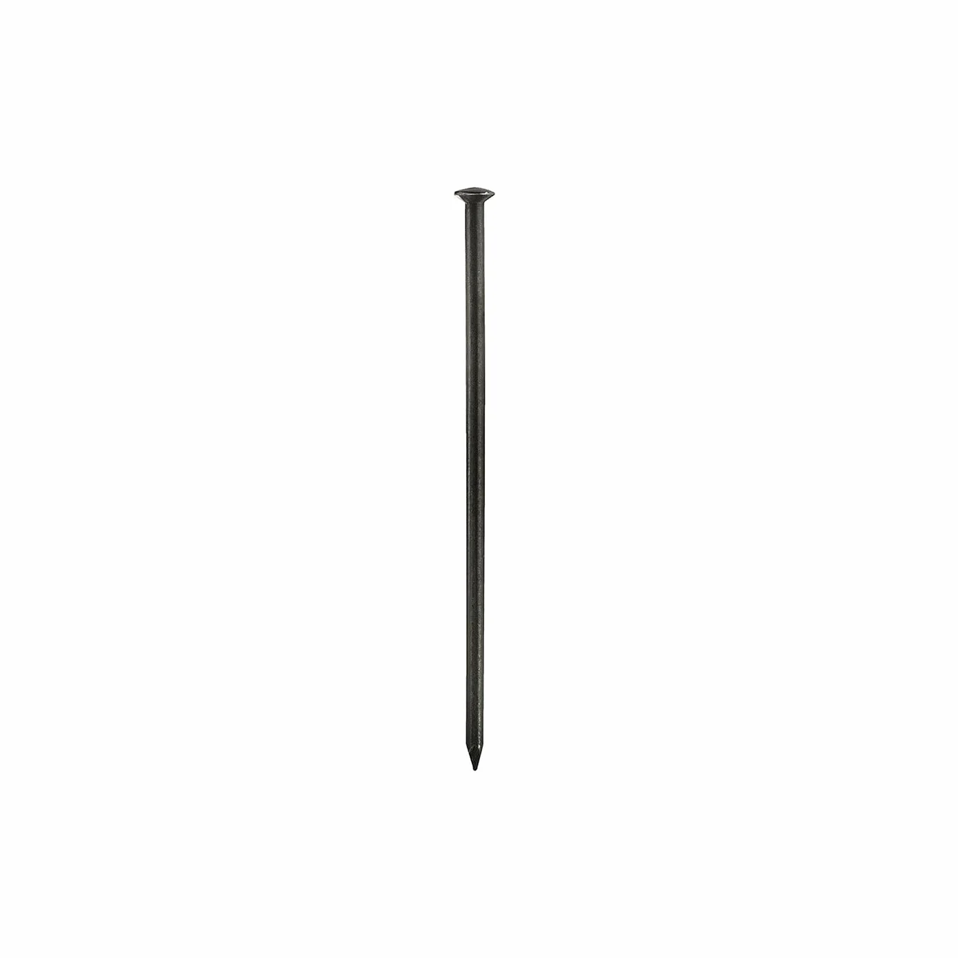 Chiodi a Testa Bombata in Acciaio 2,0 x 30 mm 100 g per Legno Muratura Carpenteria Edilizia