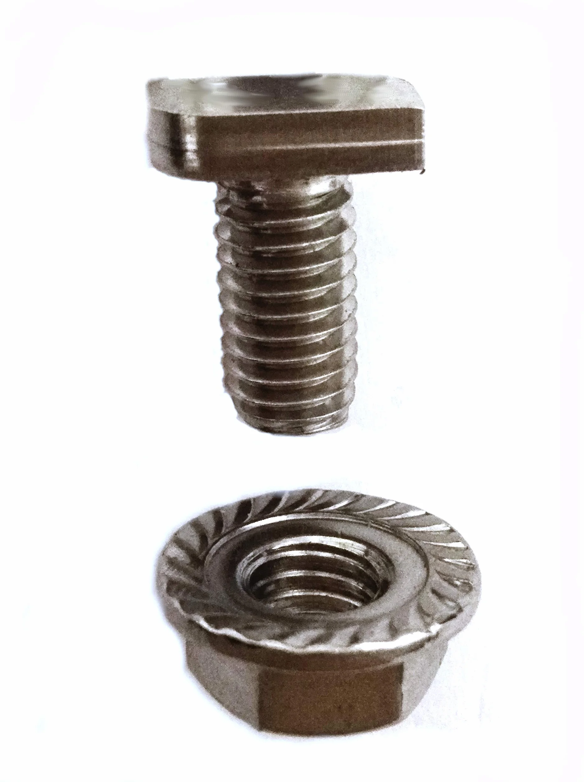 Viti a testa a martello M6x12 in acciaio inossidabile con dado flangiato per serra