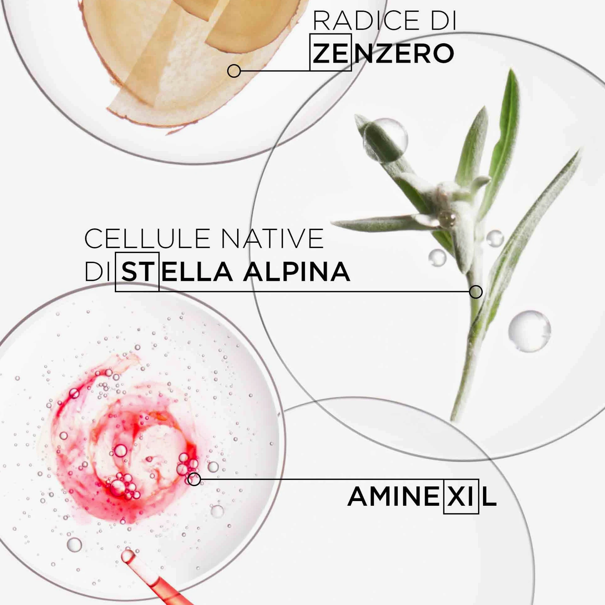 Kérastase | Genesis, Maschera Anti-Caduta, Idratazione & Riparazione, Per Capelli Fragili, Reconstituant, 200 ml & Genesis, Shampoo Anti-Caduta & Nutriente, Per Capelli Fragili, Secchi & Spessi