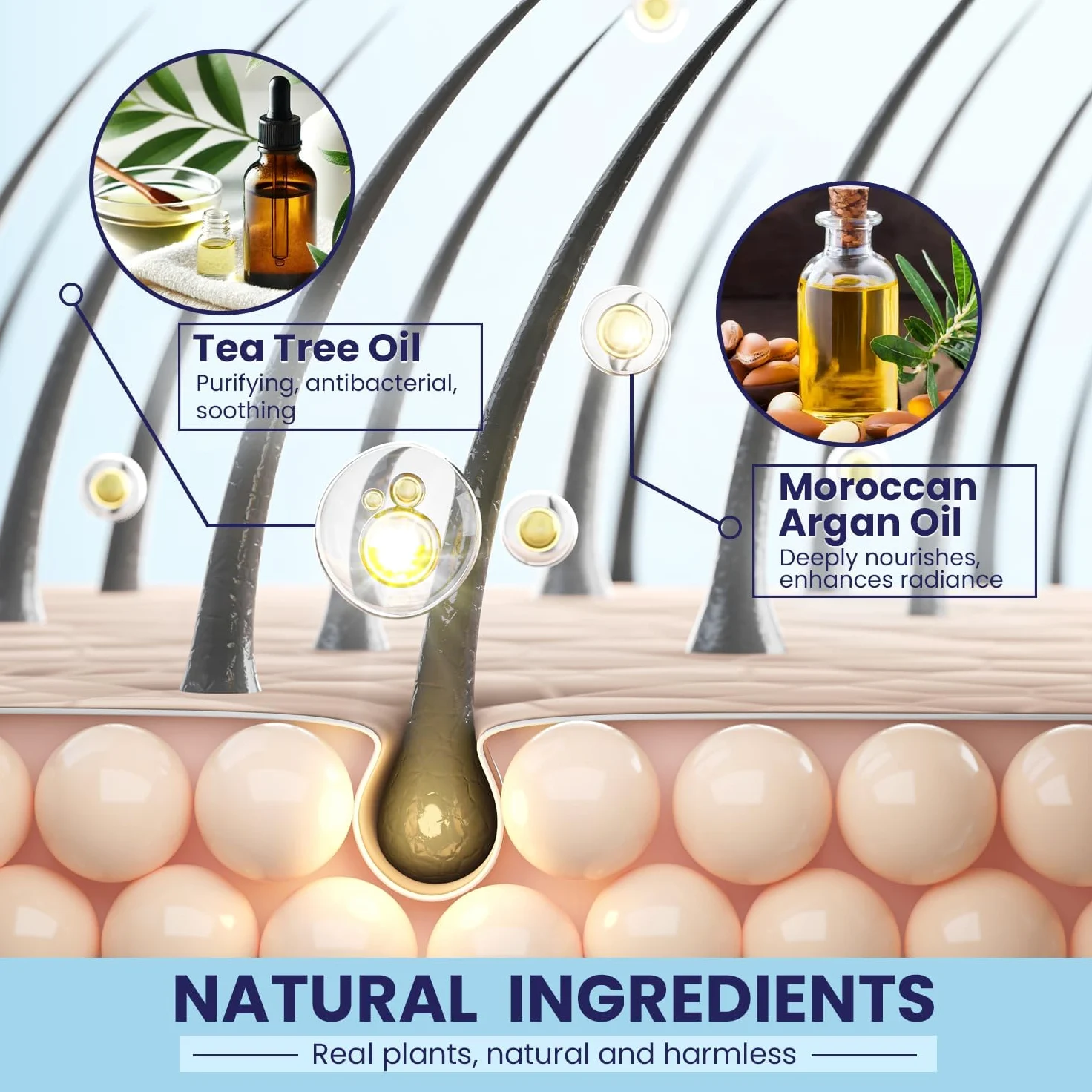 PHARMBANNER Kit shampoo e balsamo per la cura del cuoio capelluto con olio dell'albero del tè e olio di argan, cura quotidiana per cuoio capelluto secco e squamoso e depositi