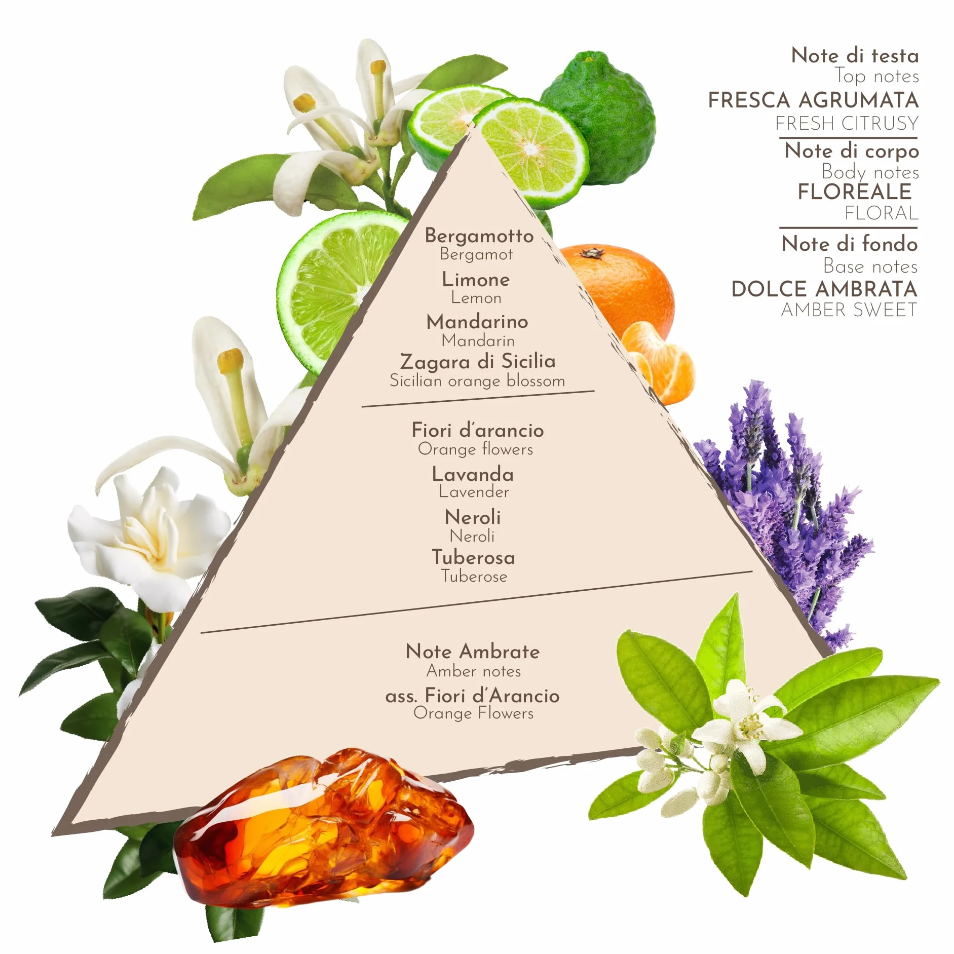 Profumi Zuma - Profumo Zagara Zuma Colonia Spray - La Fragranza Storica dal 1943 che Risveglia la Freschezza del Fiore d’Arancio Made in Sicily (Zagara Zuma 50 ml)