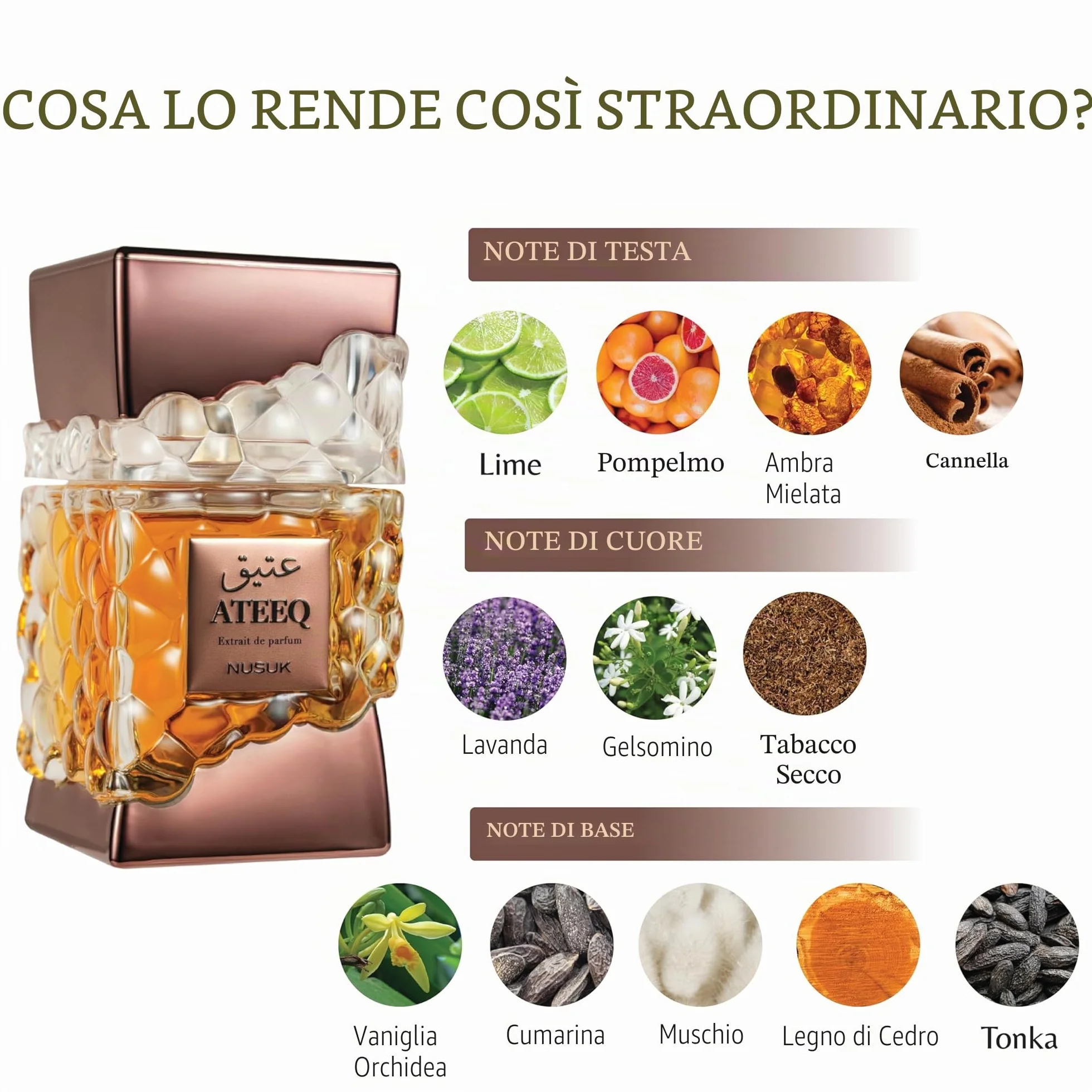 Profumo Nusuk Ateeq da uomo - 100 ml | Estratto di profumo a lunga durata | Note di agrumi, spezie e legnose | Fragranza di lusso maschile audace