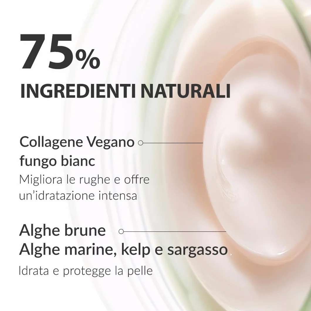 [Mizon] Crema Notte al Collagene Vegetale (50ml) Collagene vegano e a base vegetale, Linee sottili e rughe, Idratazione, Cura notturna (Phyto Plump Collagen Night Cream)