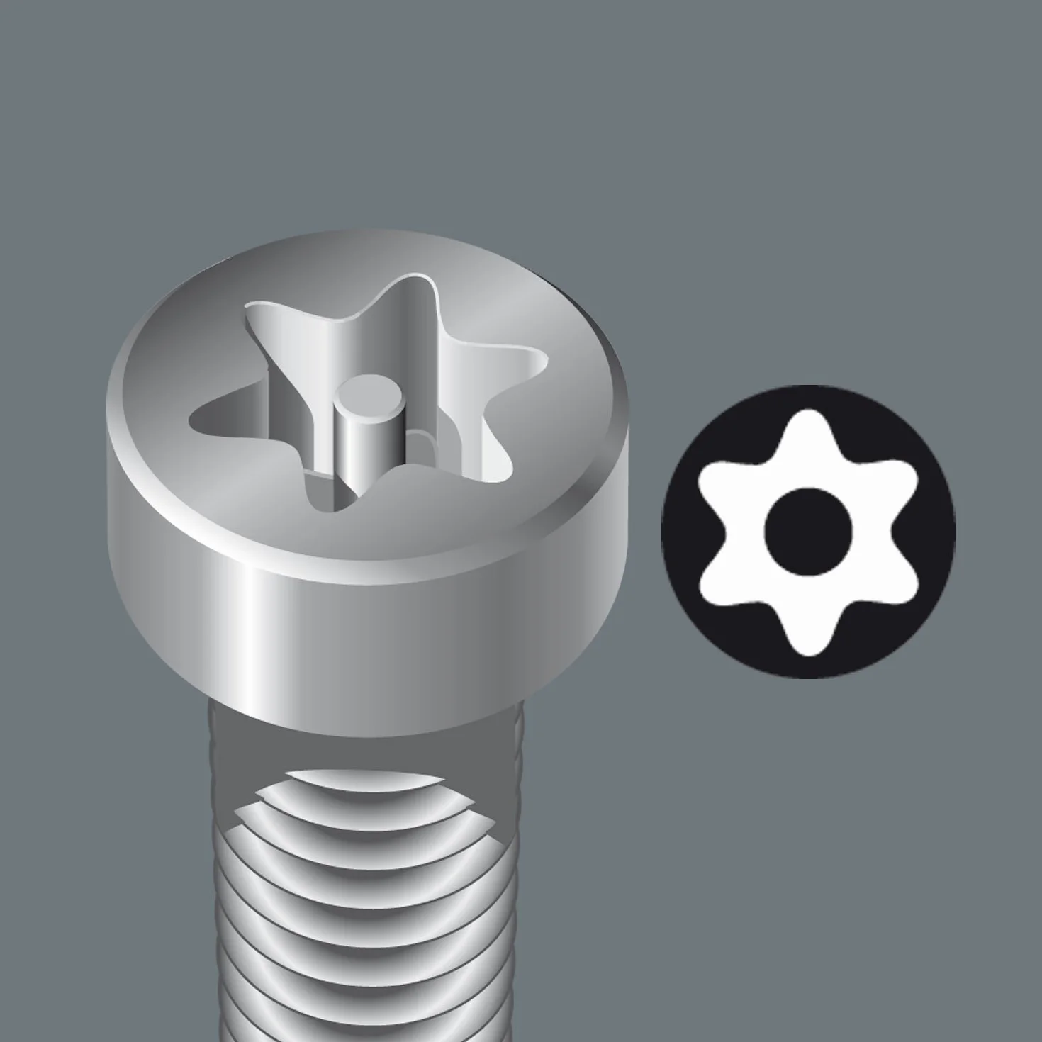 Giravite TORX BO per l'elettronica TX 8 x 60 mm
