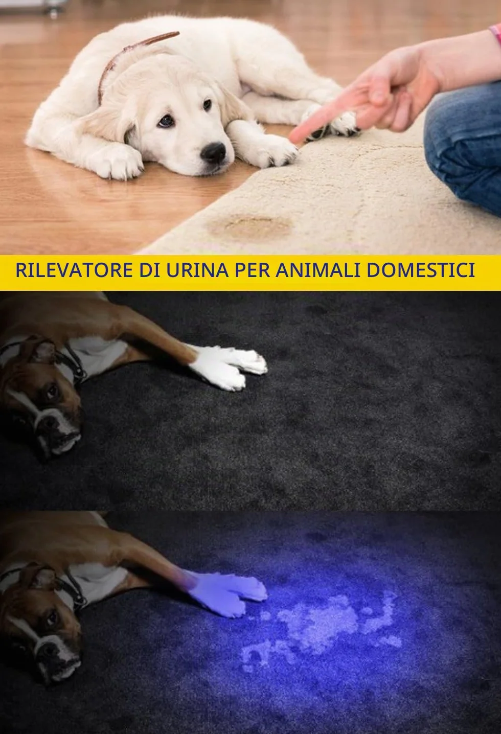 DARKBEAM Torcia UV 395nm USB Ricaricabile LED, Lampada di Wood Portatile, Luce Nera Ultravioletta Blacklight Mini