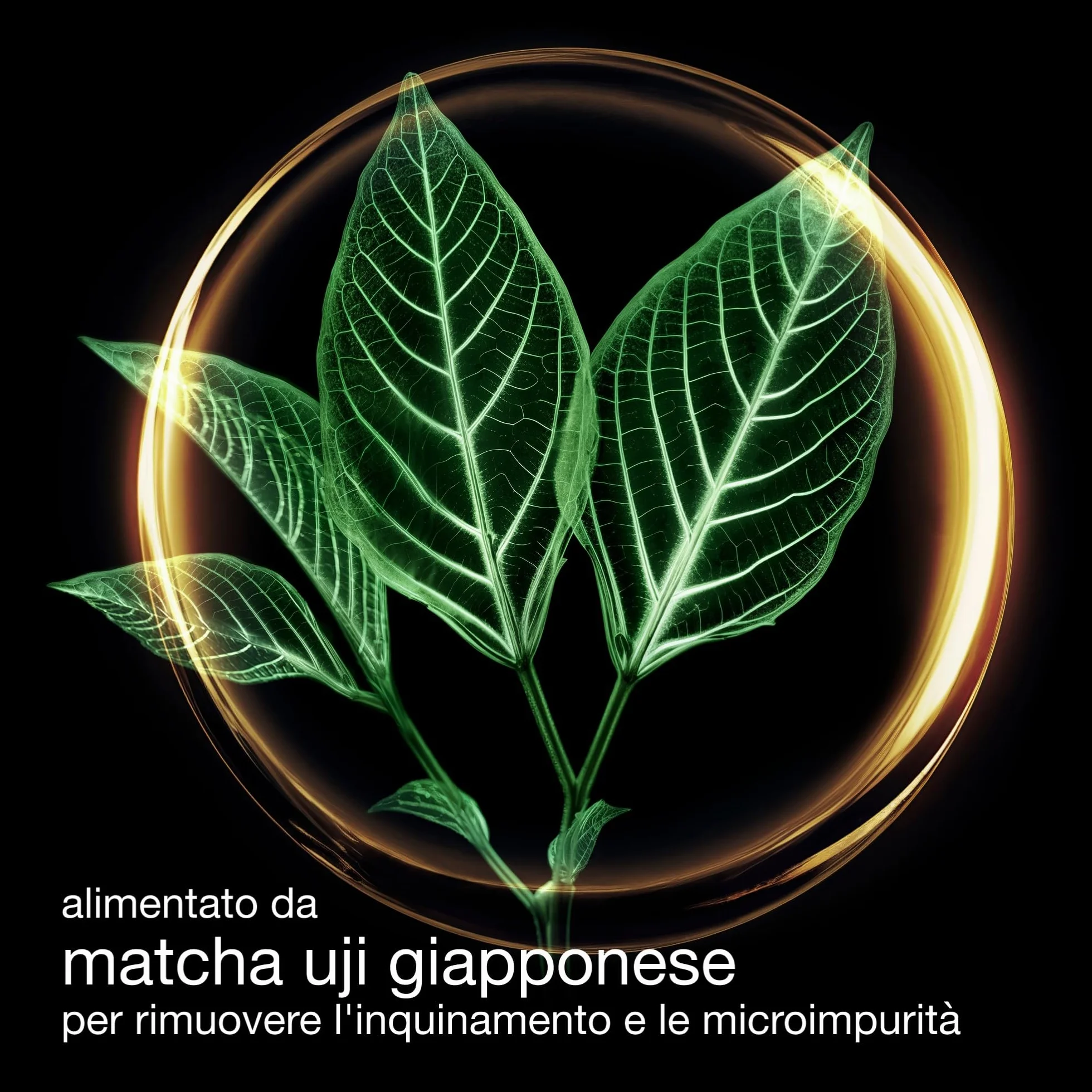 Shu Uemura Anti/Oxi+ Olio Struccante Viso, Olio Antiossidante per Pelle Spenta, Detergente Viso Anti-Inquinamento, Arricchito con Matcha di Uji Giapponese, Tutti i Tipi di Pelle