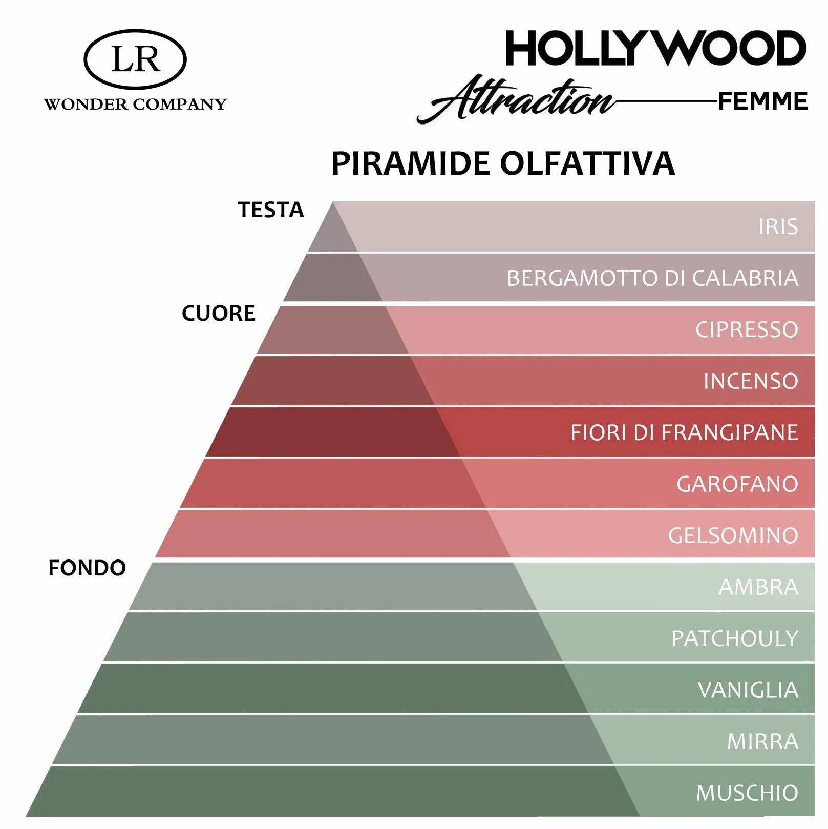 Hollywood Attraction Femme, profumo ai feromoni donna, per attrarre e sedurre (1x75ml) - Wonder Company