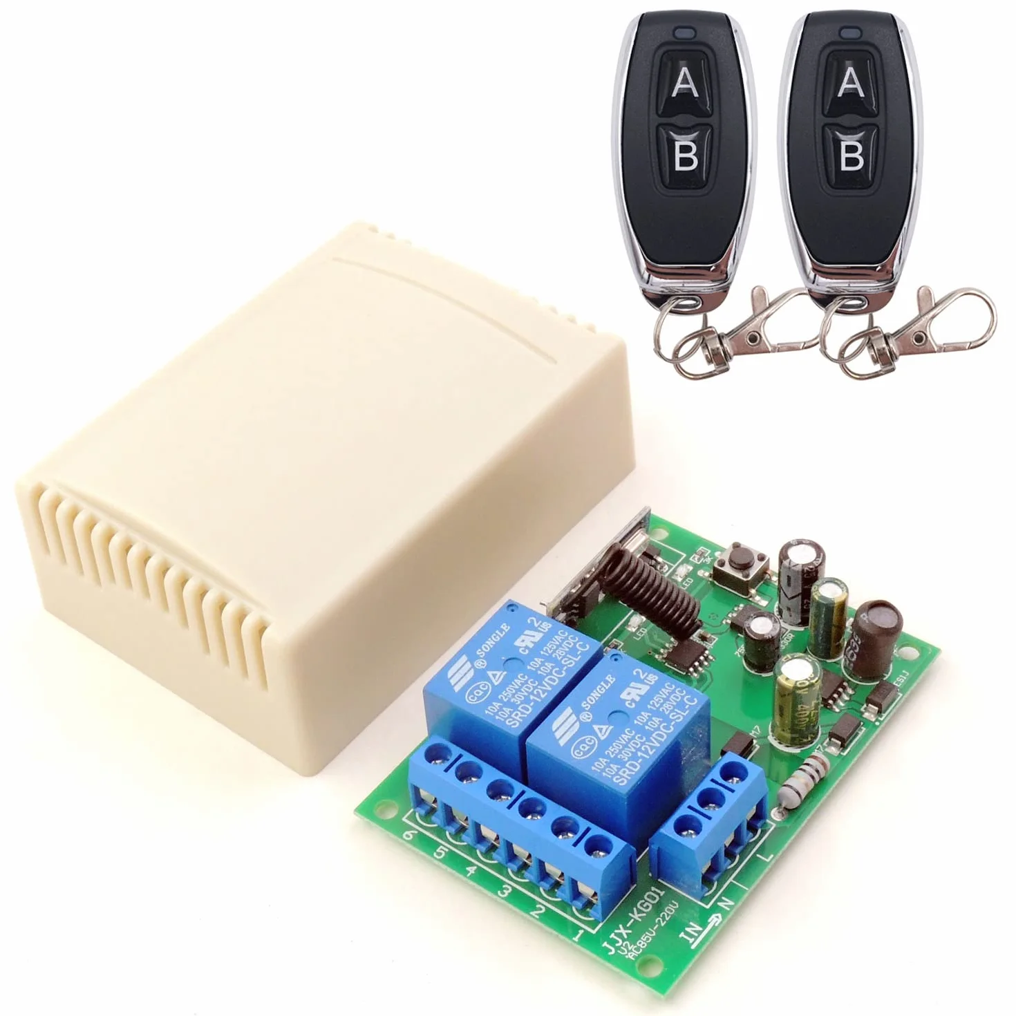 DieseRC Interruttore remoto wireless 433 MHz RF ricevitore relè 2 canali AC 220-240V 110V con 2 telecomandi