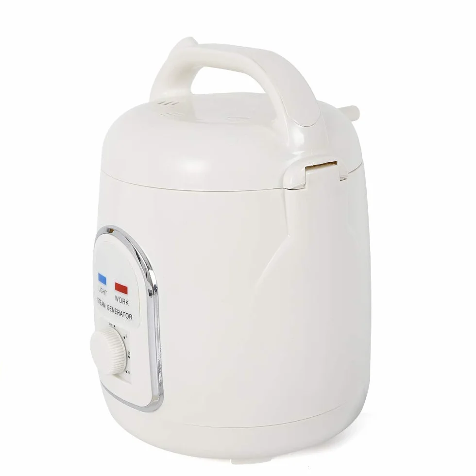 Generatore di vapore per sauna portatile 1,5 l con timer 60 minuti