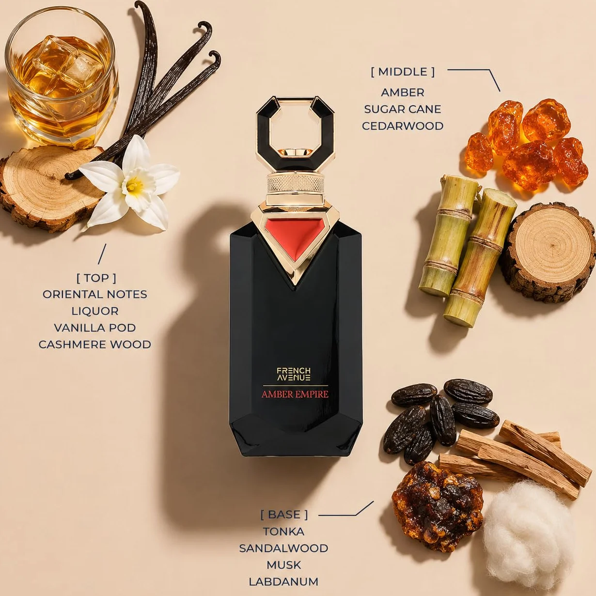 French Avenue Amber Empire, Oriental Amber - Estratto di profumo da uomo, 100 ml, con note di ambra, vaniglia e legno di sandalo