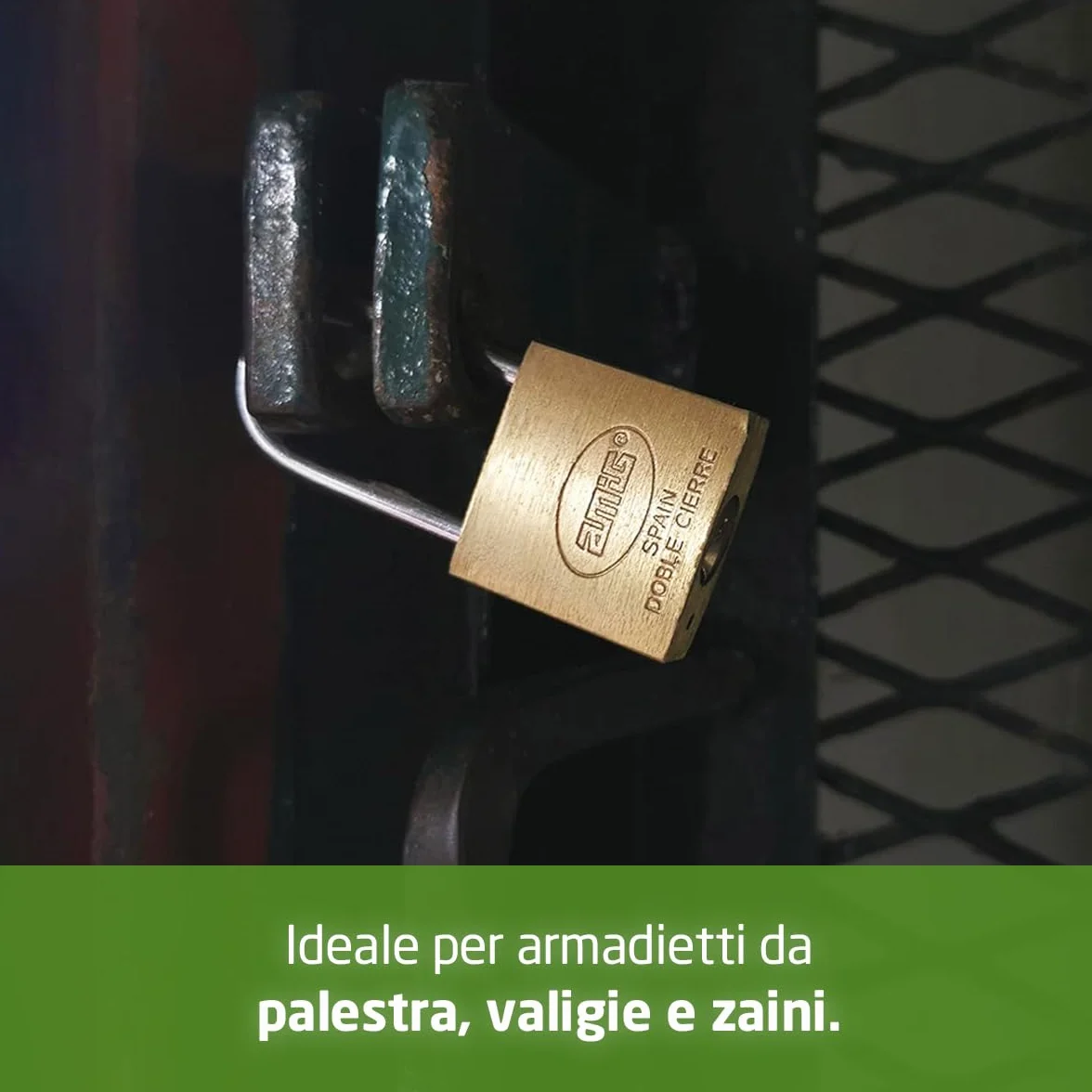 Lucchetto di Sicurezza in Ottone e Acciaio 30 mm con 2 Chiavi per Armadietti