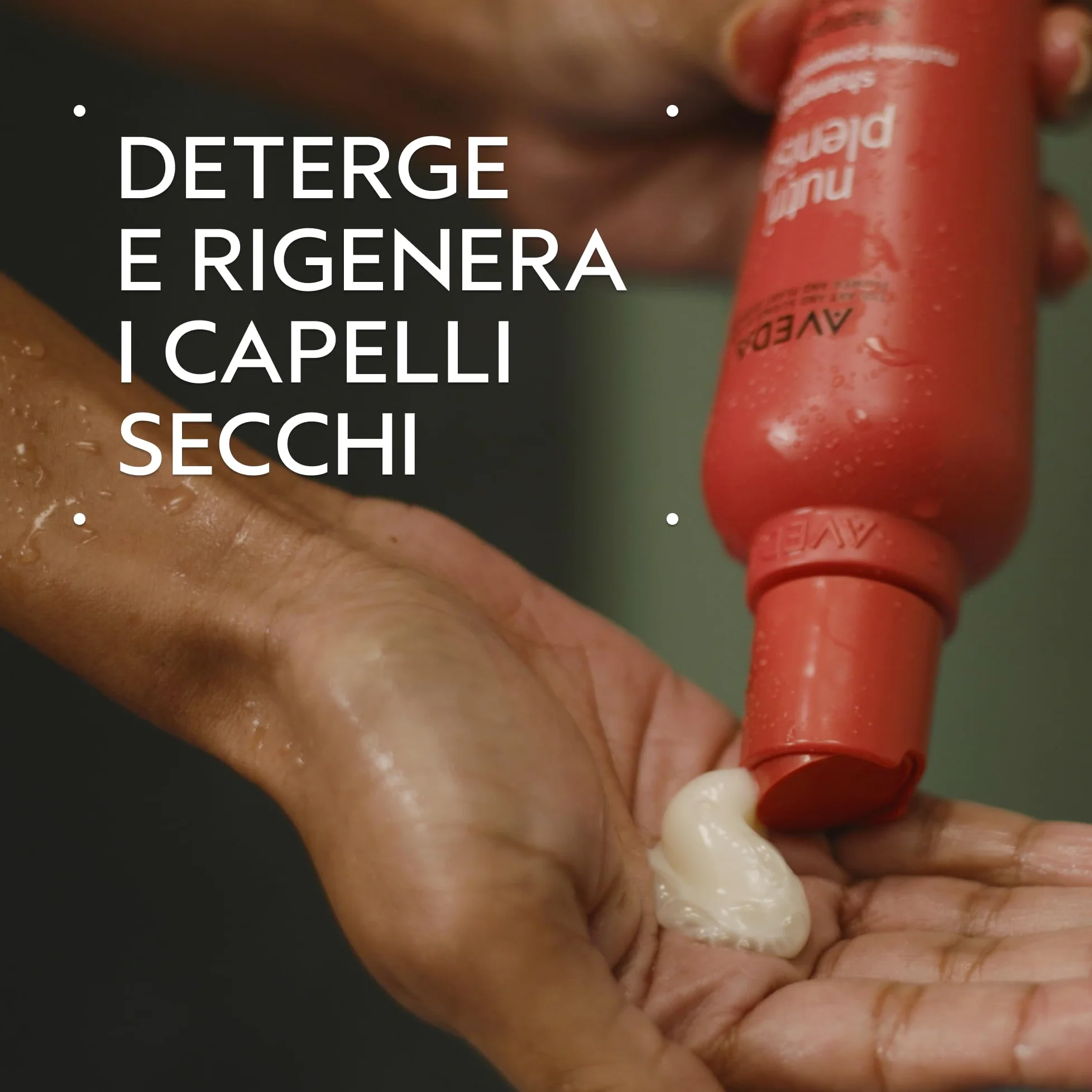 Aveda Nutriplenish Routine: Shampoo Idratazione profonda (250 ml) + Balsamo Idratazione profonda (250 ml) - Olio biologico di melagrana e cocco, burro di mango