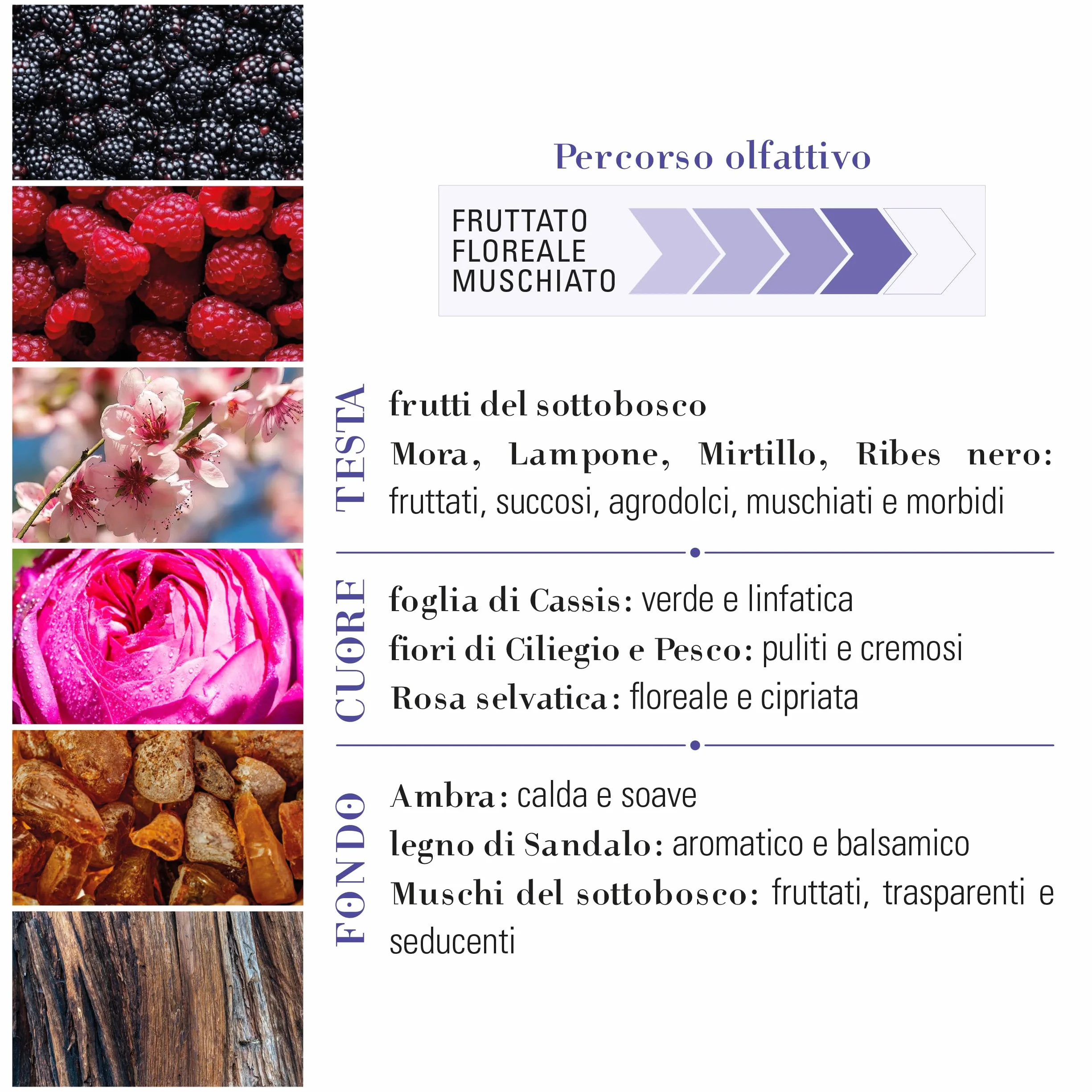 Helan Mora Muschio - Profumo Donna Eau de Parfum Selvatica, Fragranza Fruttata, Floreale e Muschiata con Mora, Lampone, Mirtillo, Rosa Selvatica e Legno di Sandalo - 50 ml, Made in Italy