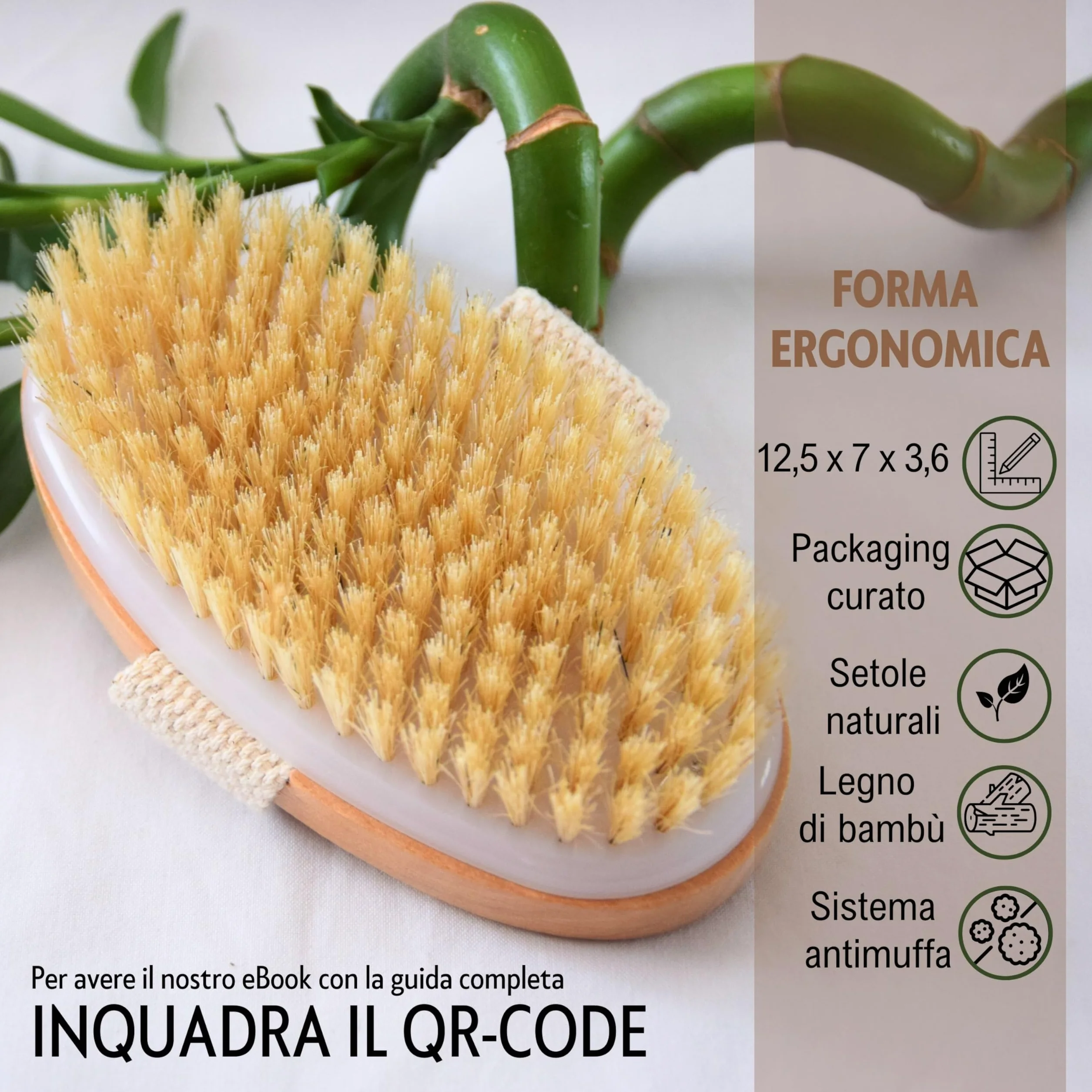 Spazzola Corpo a Secco Setole Naturali e GUIDA al Dry Brushing Corpo - Spazzola cellulite - Spazzola a Secco Corpo Esfoliante per una Pelle subito Liscia e Tonica Stimola la Circolazione