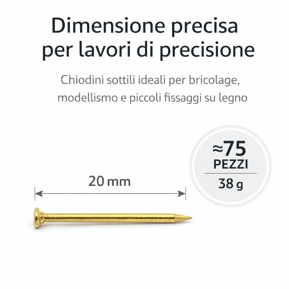 Chiodi per Legno 20 mm 75 Pezzi Testa Piatta per Modellismo e Cornici