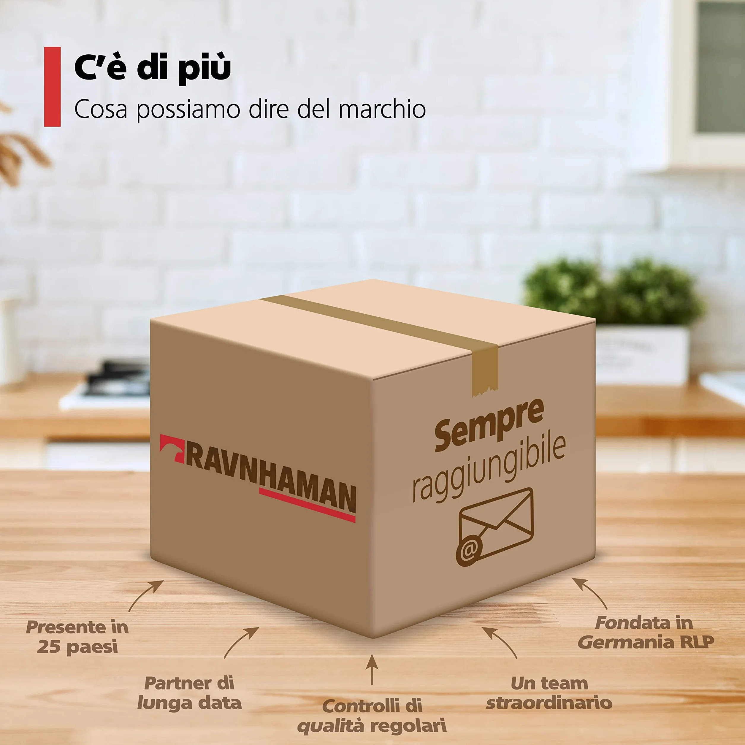 RAVN HAMAN Ruote pivottanti per mobili 50 mm con freno 100 kg - Set di 4 rotelle industriali carichi pesanti