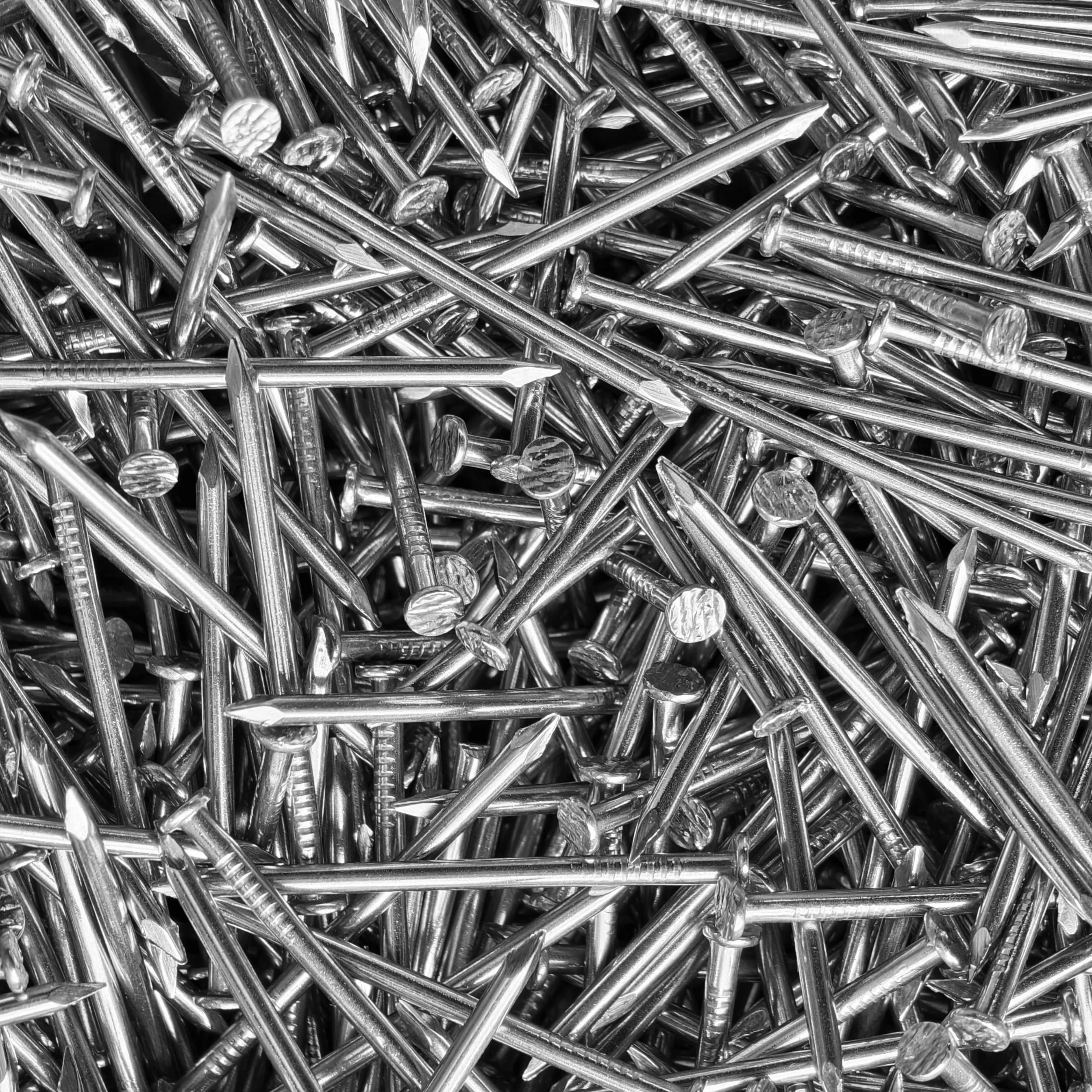 OMOTOOL Set di chiodi in acciaio inox 304 480 pezzi 6 misure