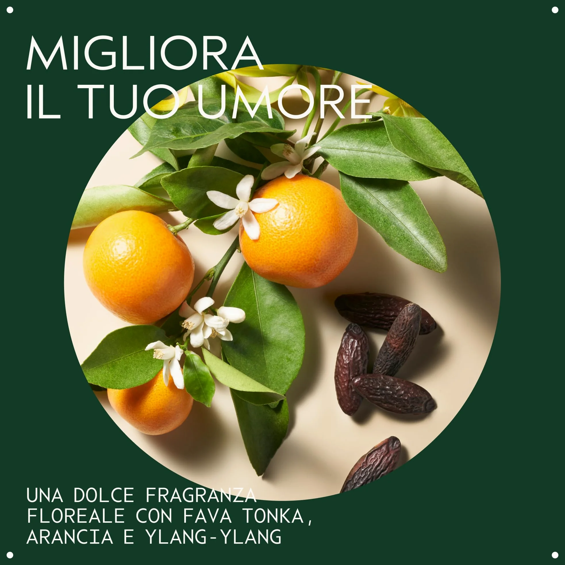 Aveda Cherry Almond Shampoo ammorbidente - Delicato per uso quotidiano - Capelli da normali a secchi - Senza siliconi - Cherry Almond con tonka arancia ylang ylang