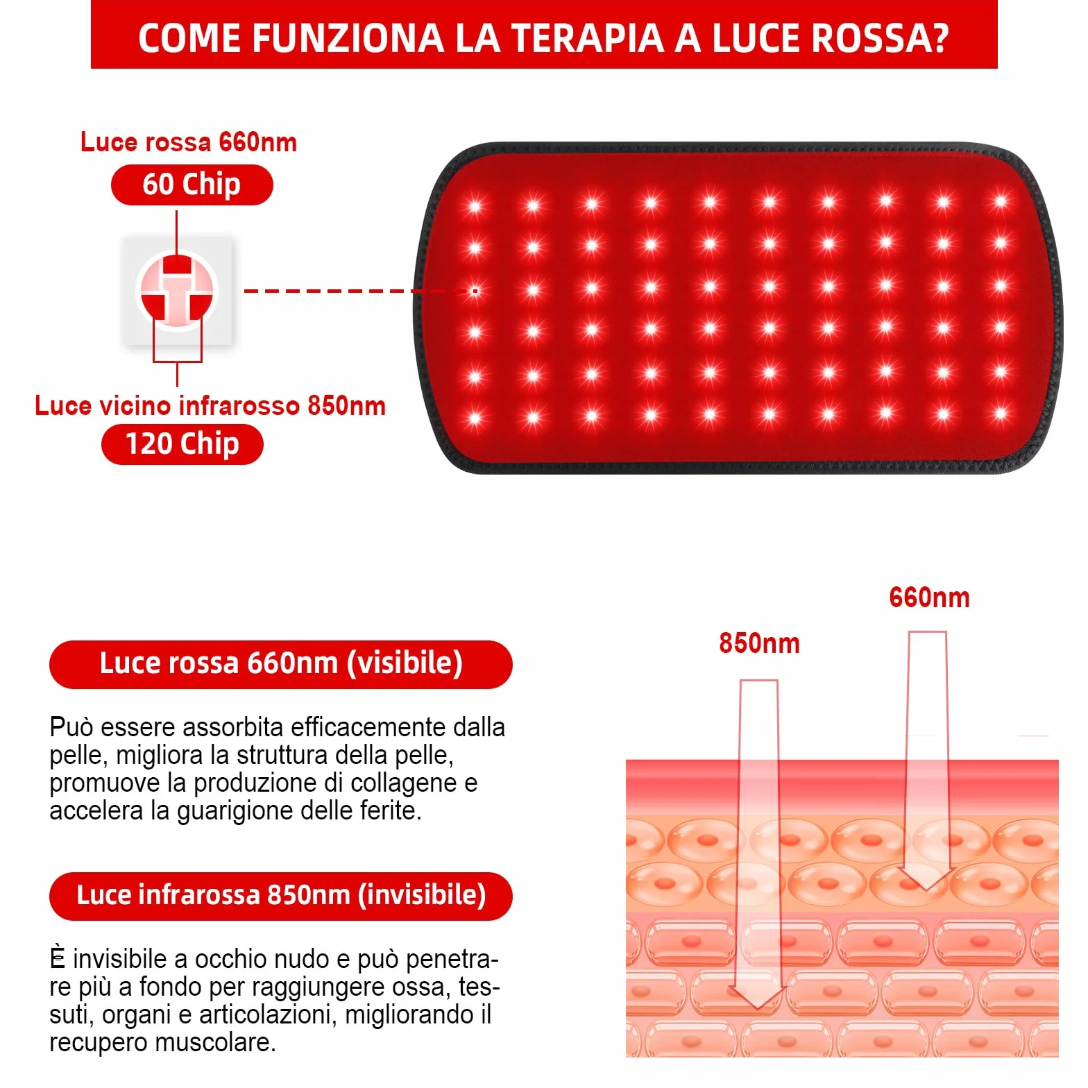 Fascia Terapia a Luce Rossa, Luce Infrarossa Corpo, LED Triple-Chip 660nm 850nm, Fascia Riscaldante Schiena e Ginocchia, Dispositivo Portatile, Regalo Benessere Uomo Donna