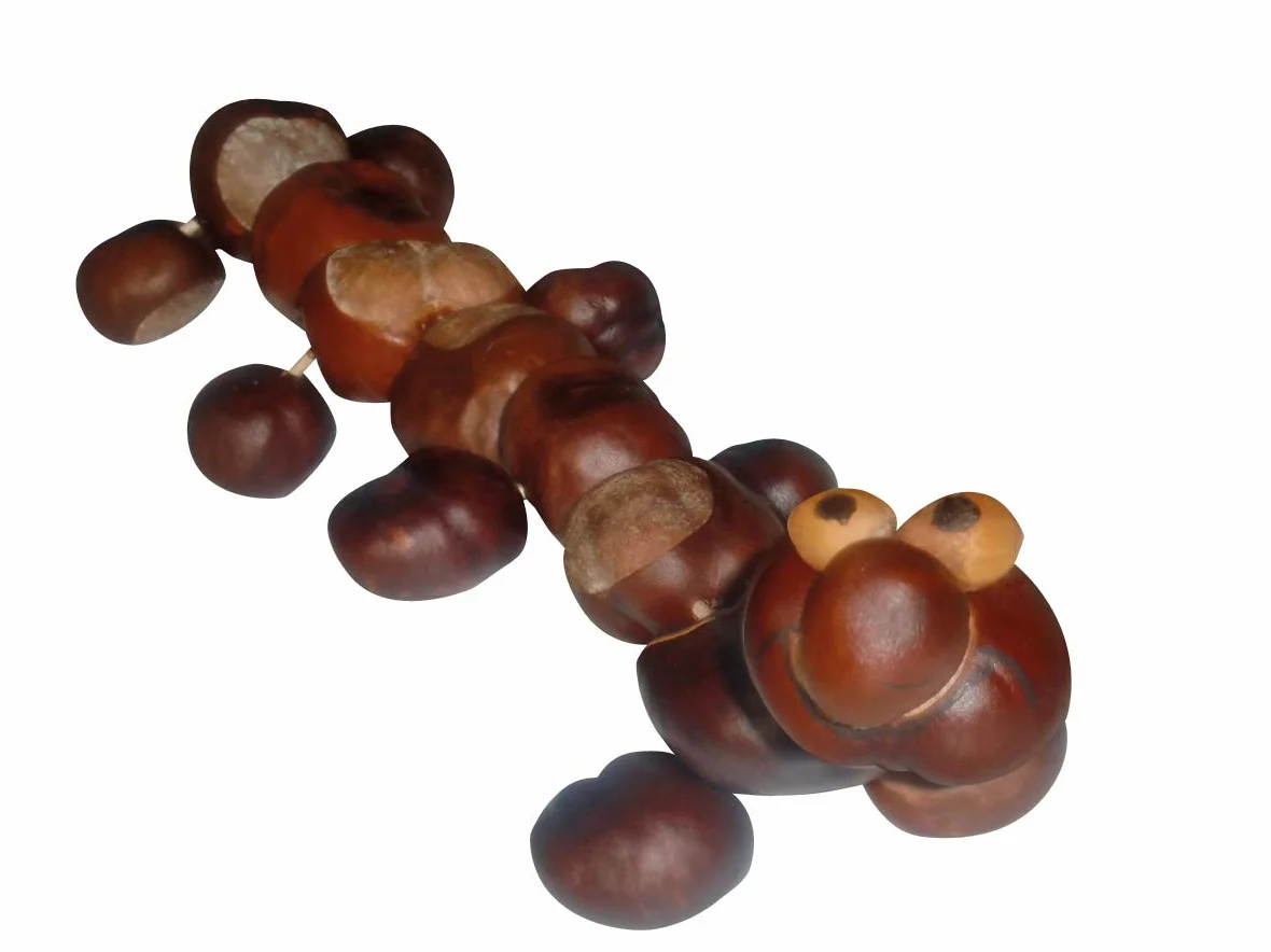 Pebaro NA2-3-4-5S Set 4 Punte per Trapano a Mano Legno Morbido Castagno
